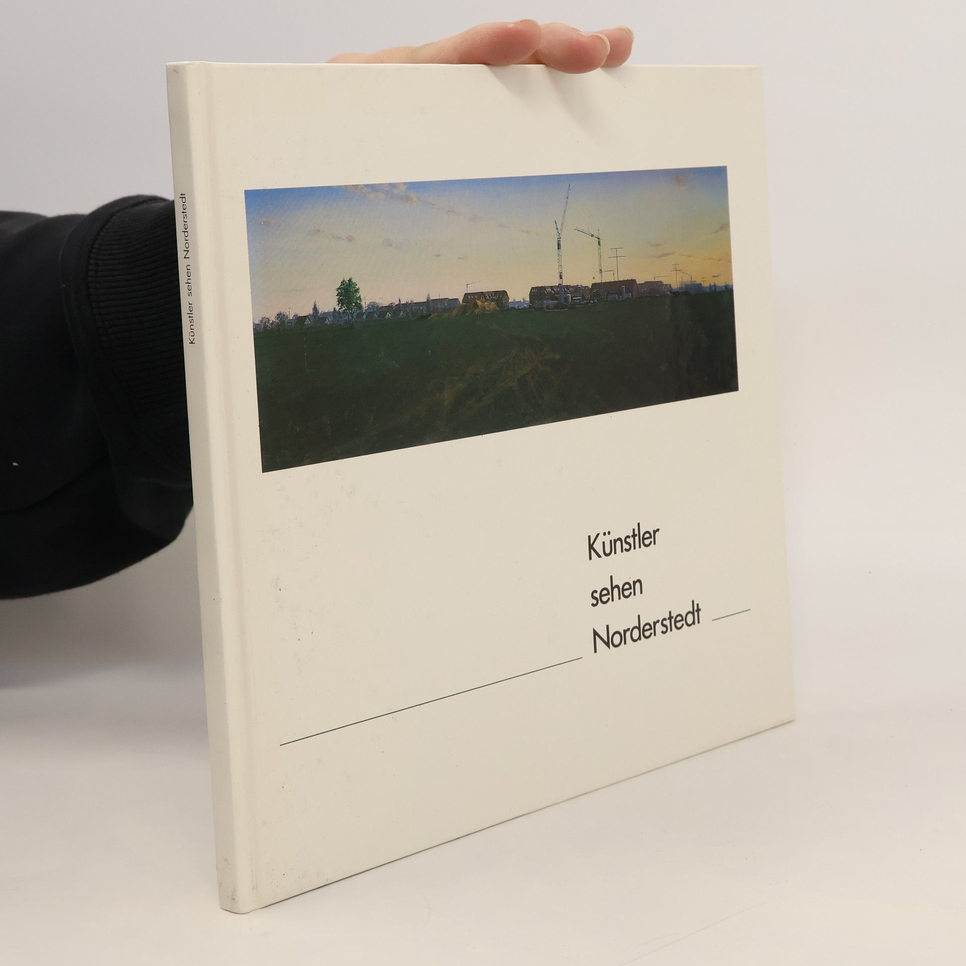 Collectif d'auteurs Künstler sehen Norderstedt