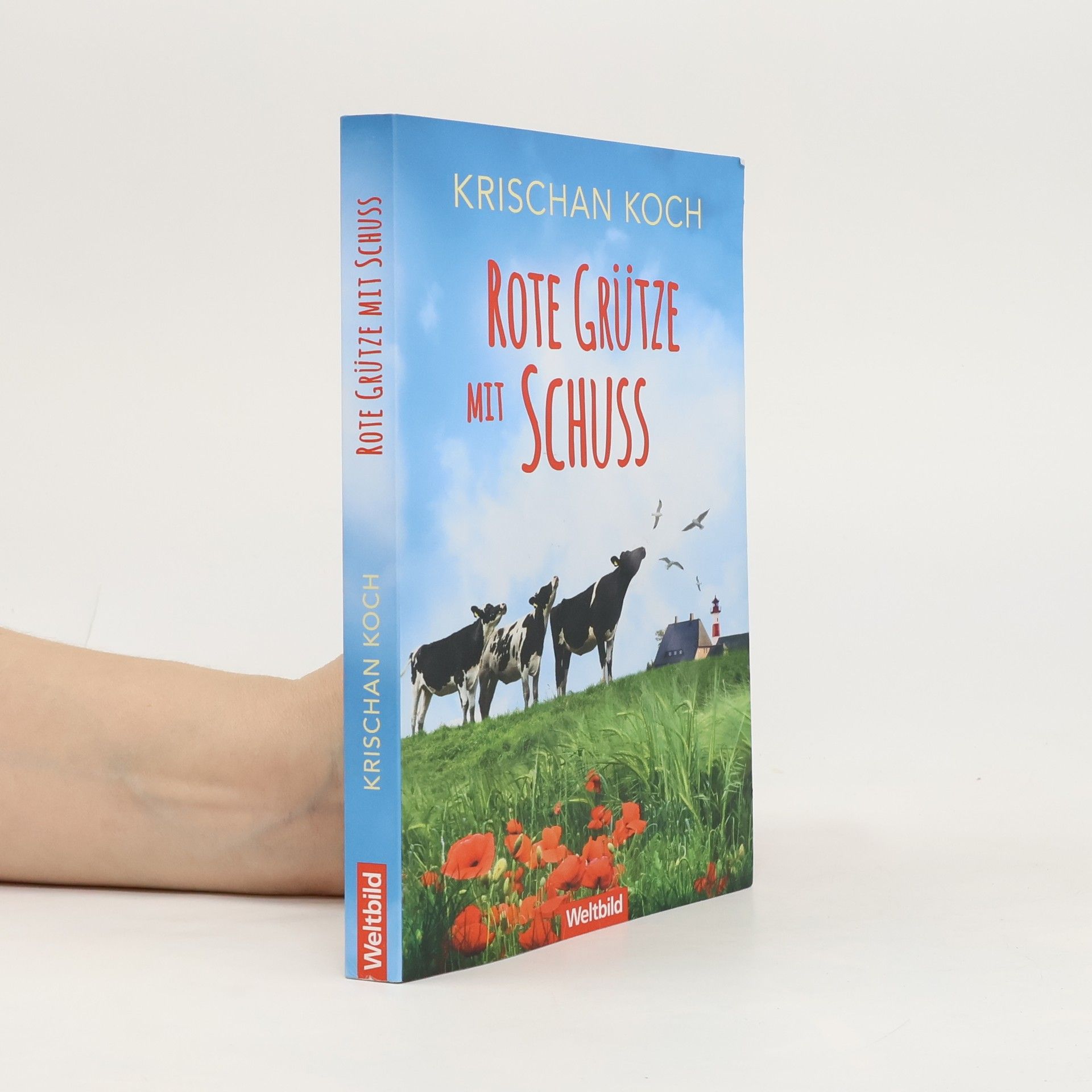 Rote Grütze mit Schuss