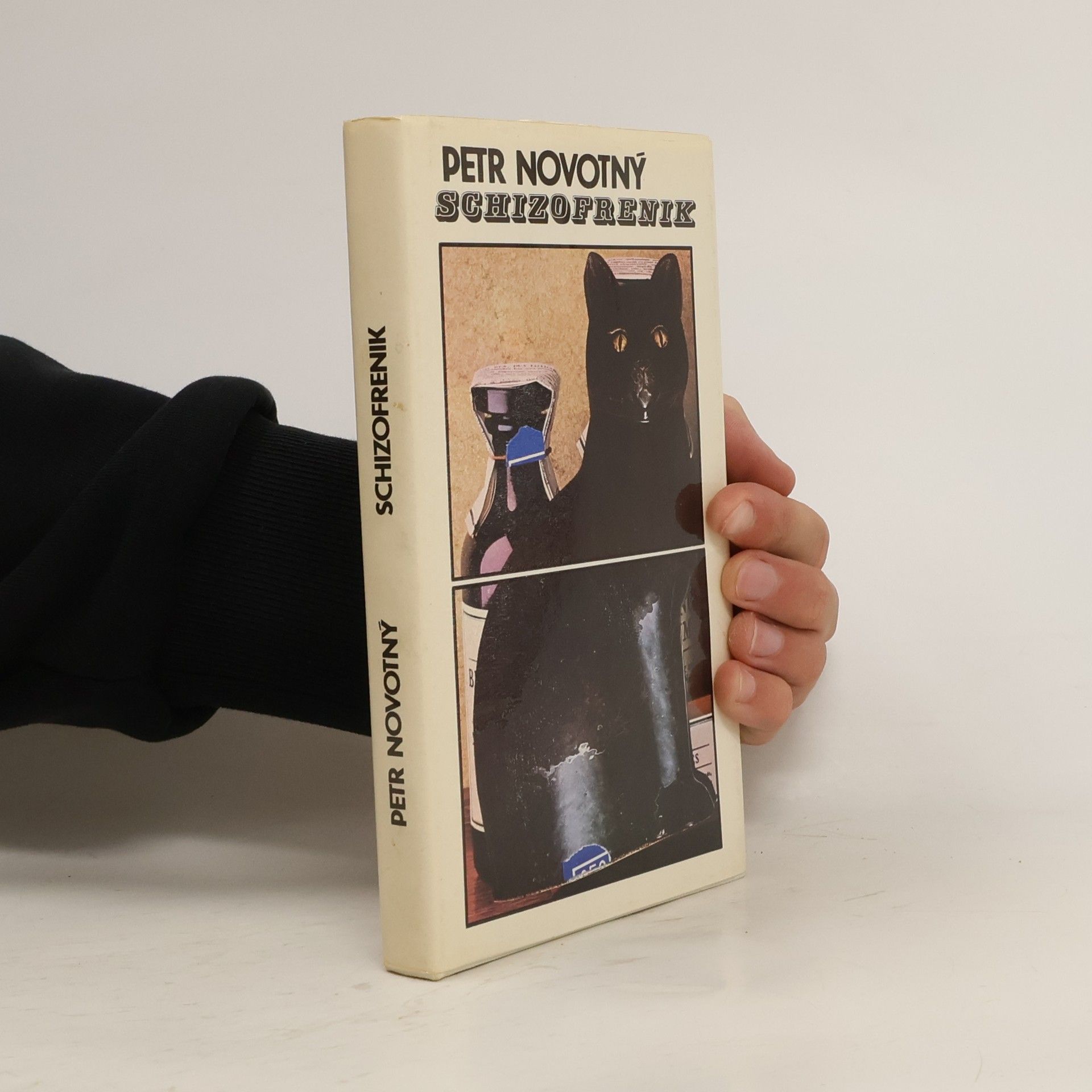 Petr Novotný Schizofrenik