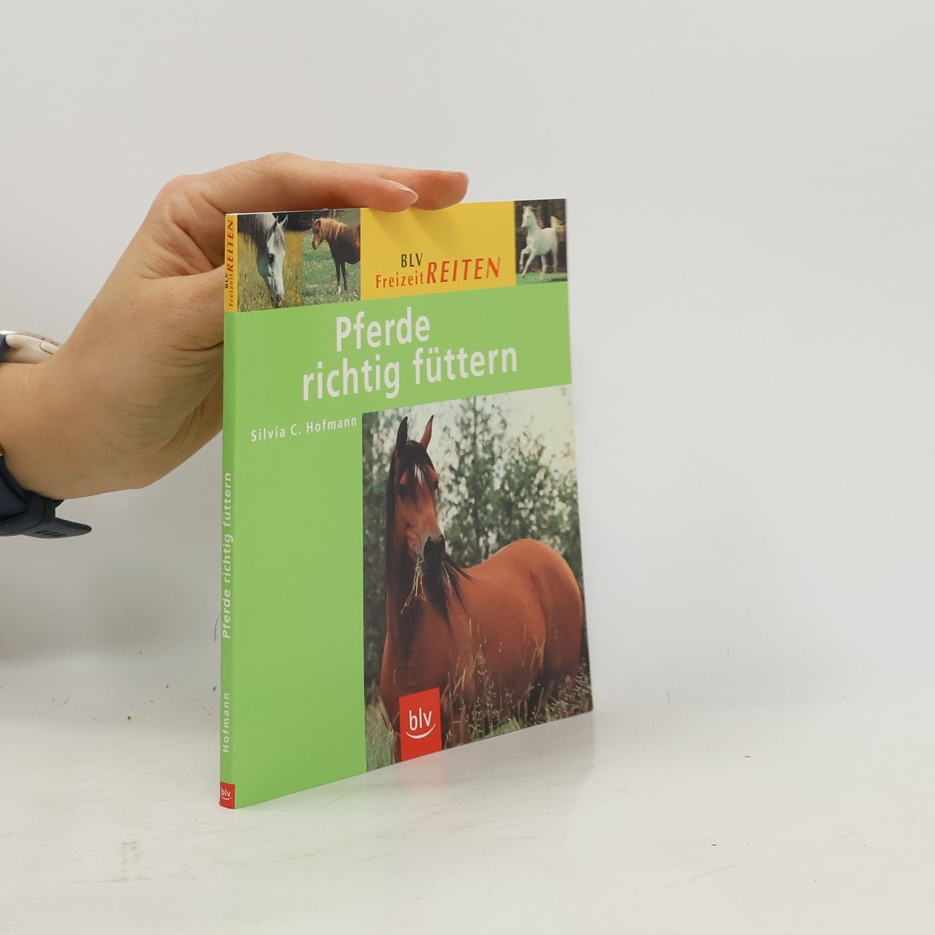 Pferde richtig füttern