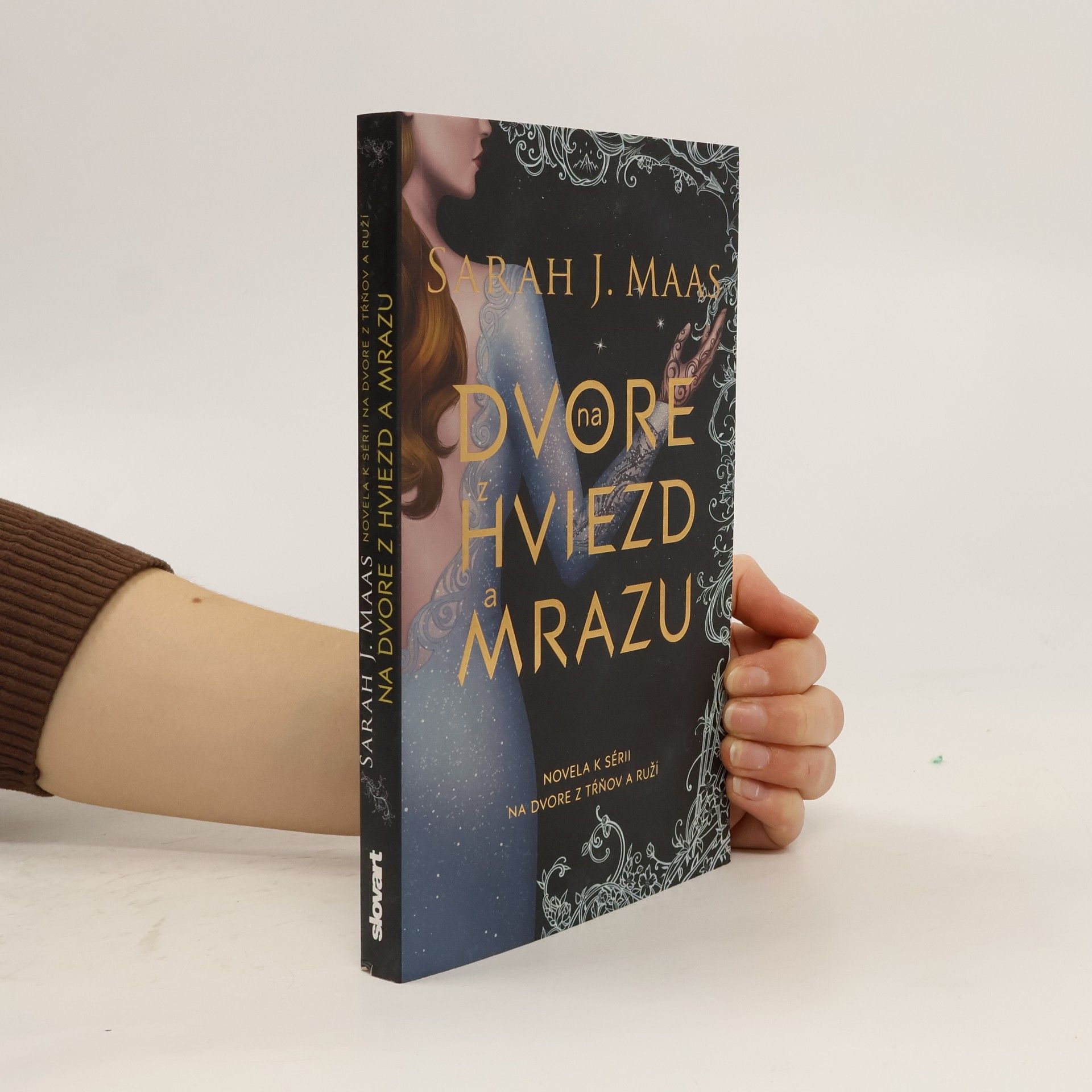 Sarah J. Maasová Na dvore z hviezd a mrazu