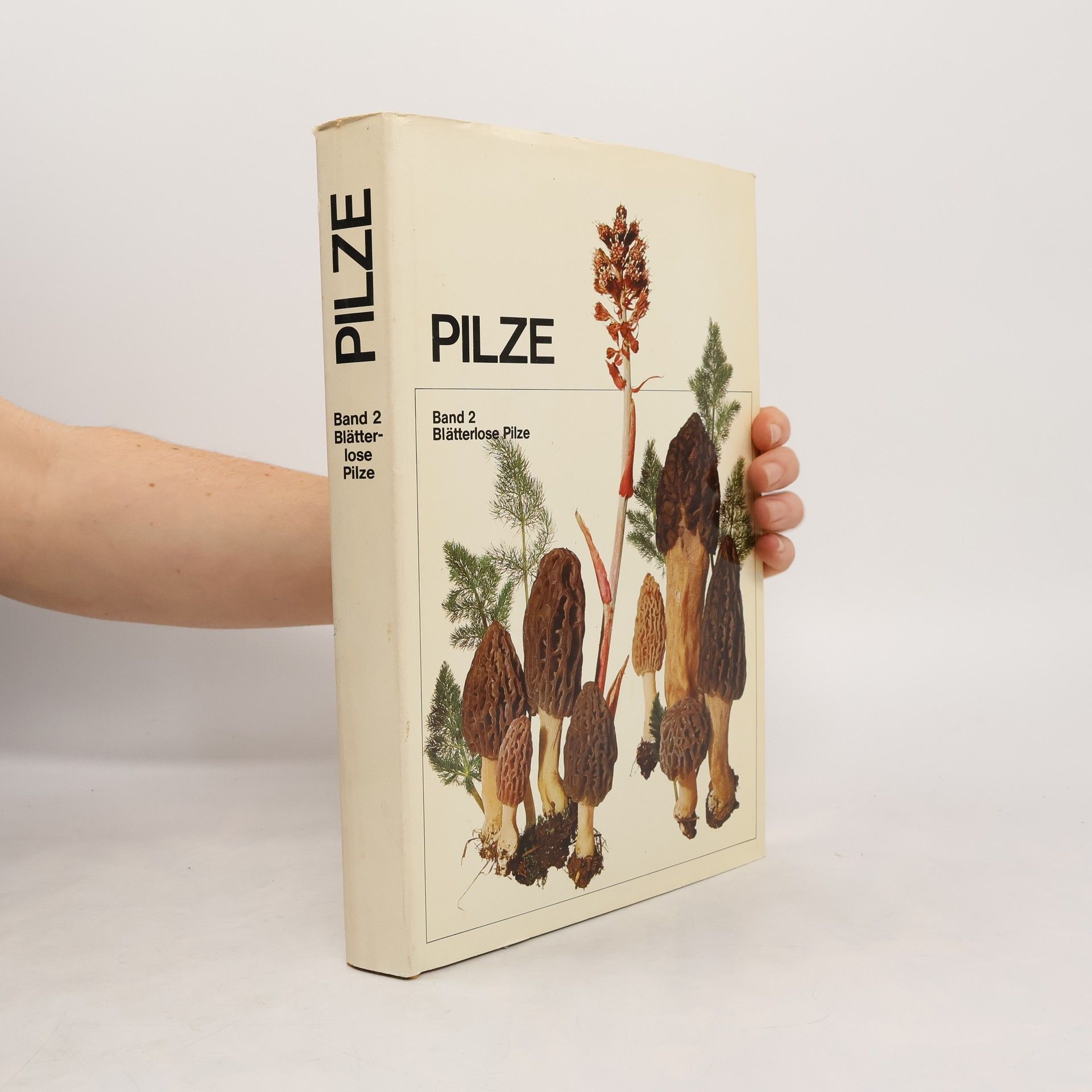 John Jacob Schlicher Pilze 2