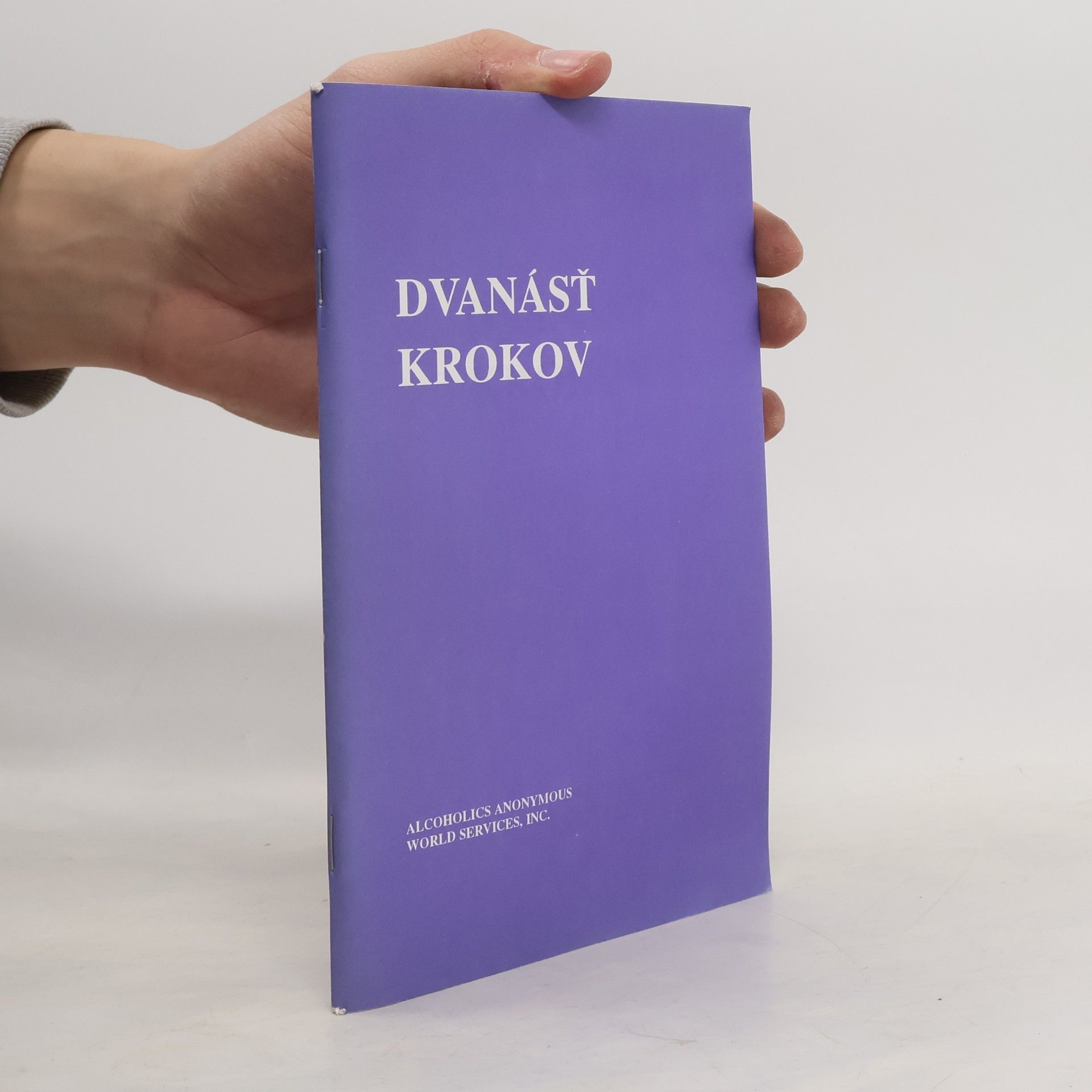 Autores varios Dvanásť krokov