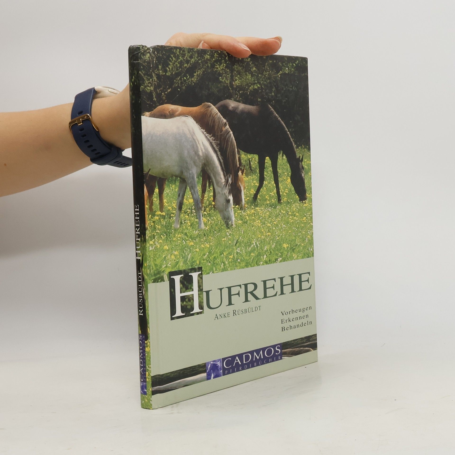 Anke Rüsbüldt Hufrehe