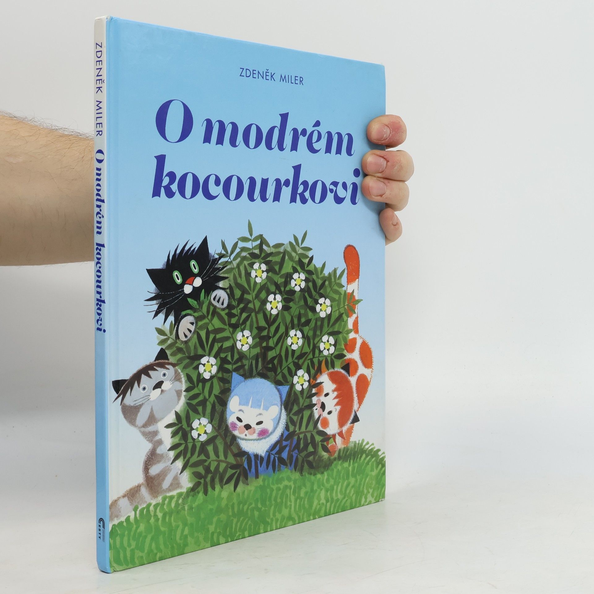 Marika Hellstrom Kennedy O modrém kocourkovi