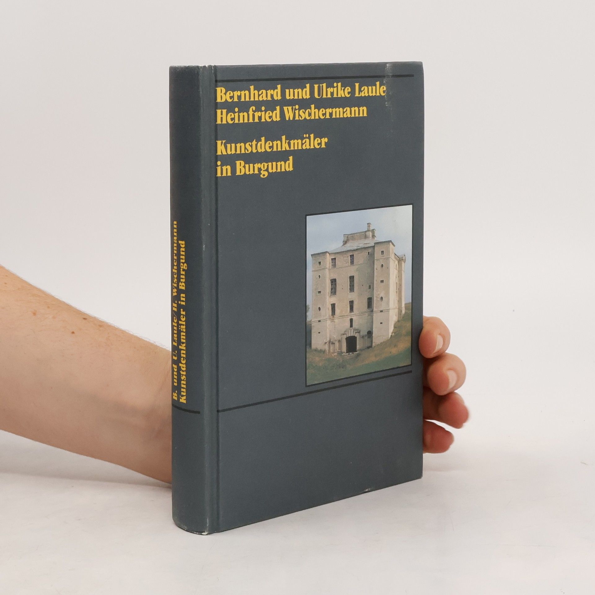 Kolektiv autorů Kunstdenkmäler in Burgund