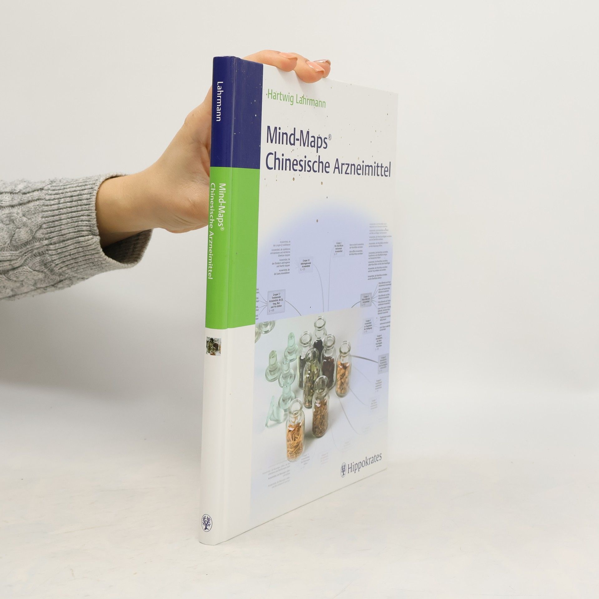 Hartwig Lahrmann Mind-Maps chinesische Arzneimittel