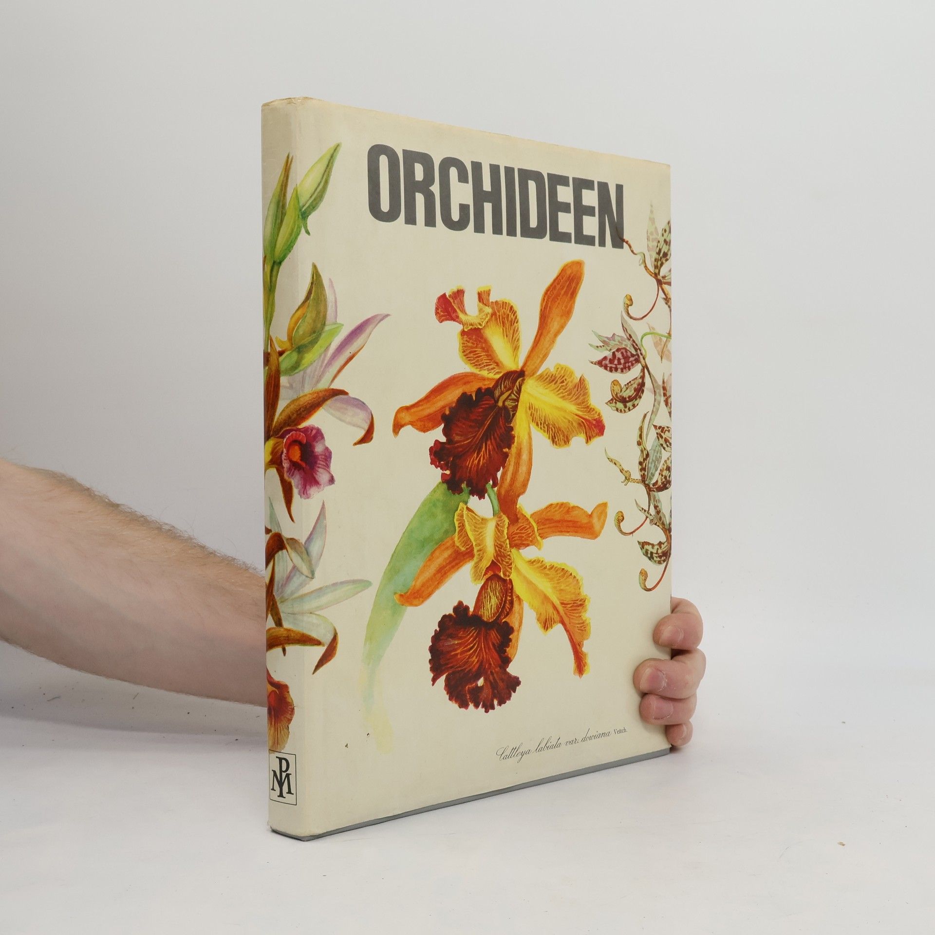 Autorenkollektiv Orchideen