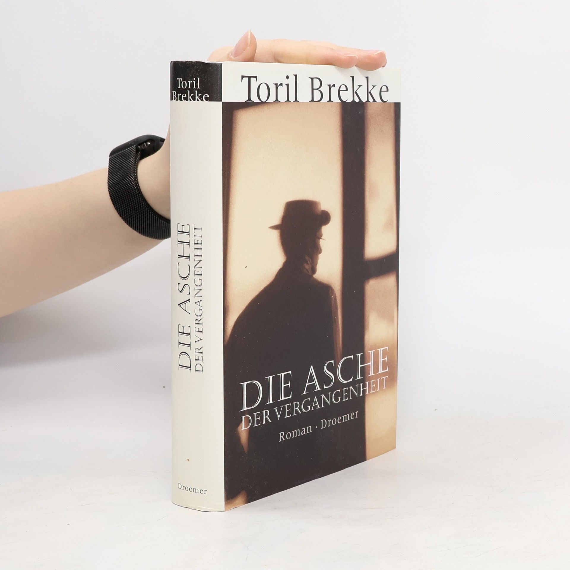 Toril Brekke Die Asche der Vergangenheit