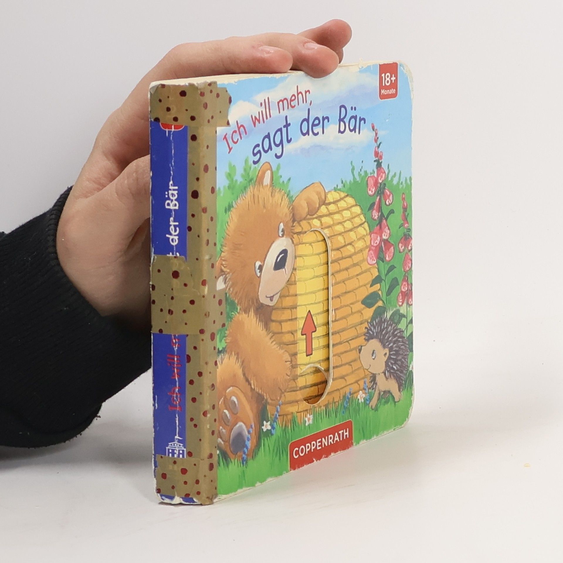 Anna Taube Ich will mehr, sagt der Bär