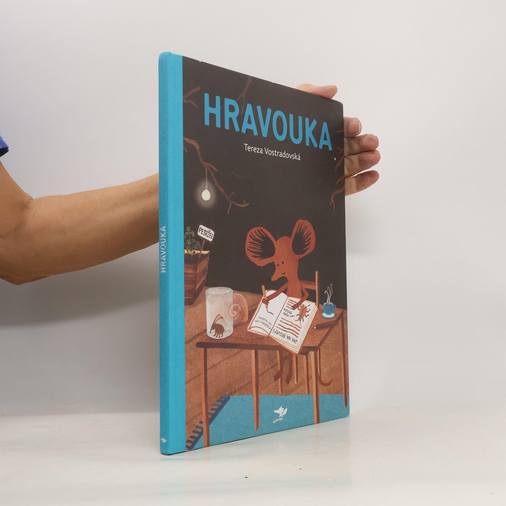 Tereza Vostradovská Hravouka