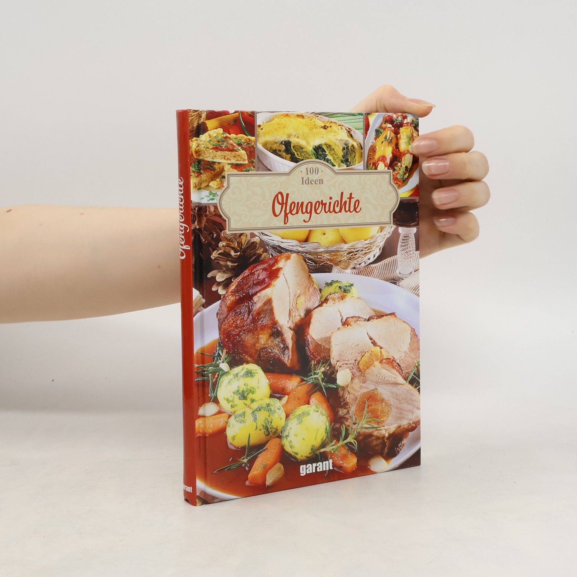 Auteurscollectief 100 Ideen Ofengerichte