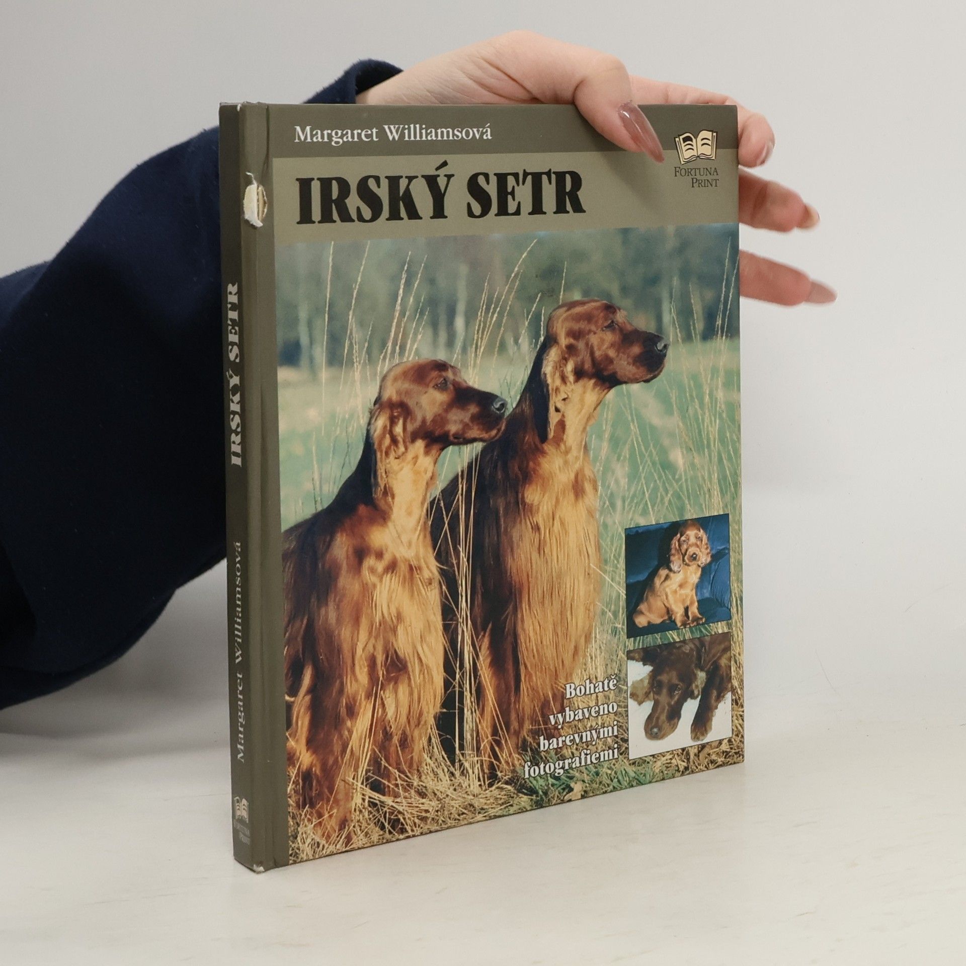 Margaret Williams Irský setr