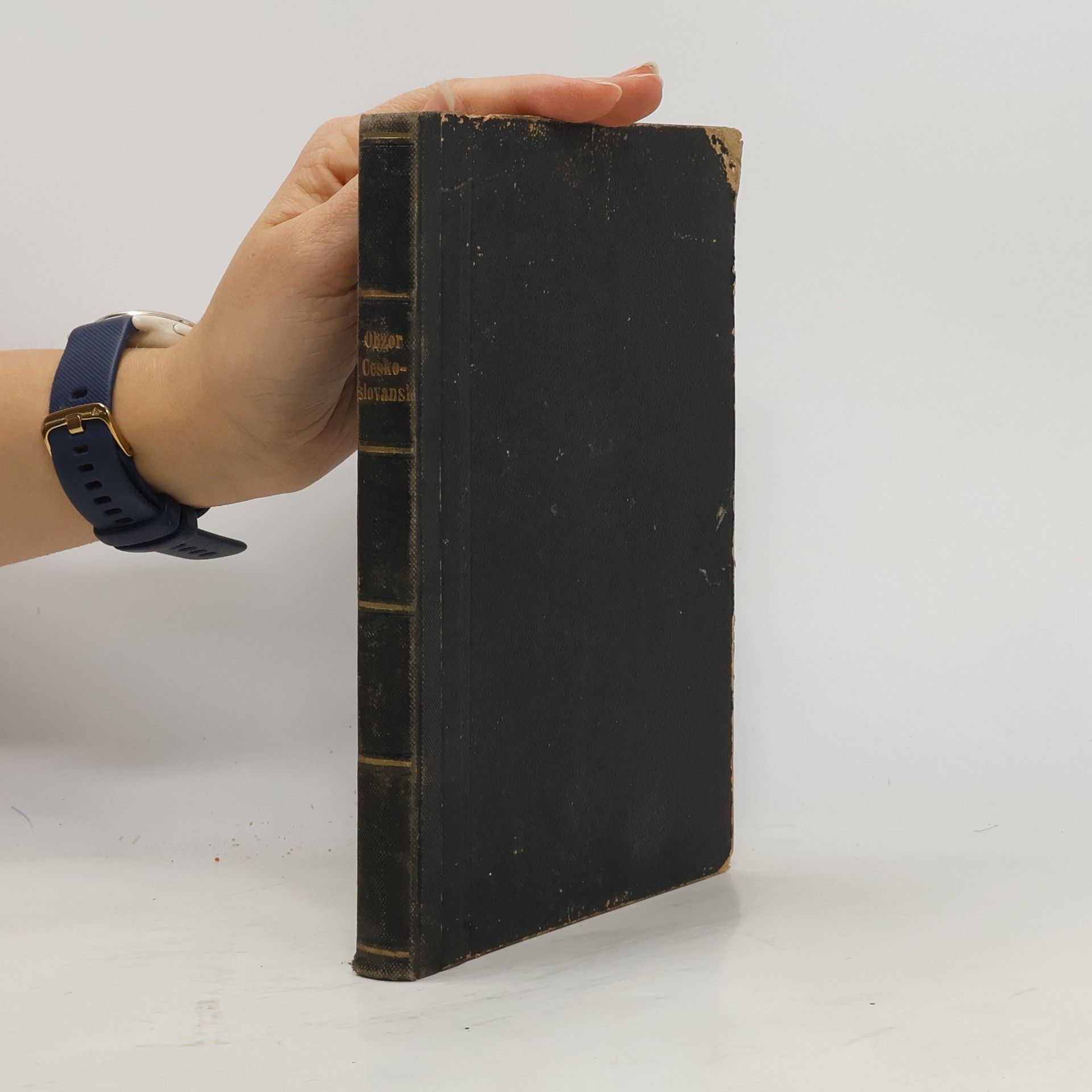 Jan Jodi Kralupský Děje- národo. a mluvopisný obzor českoslovanský