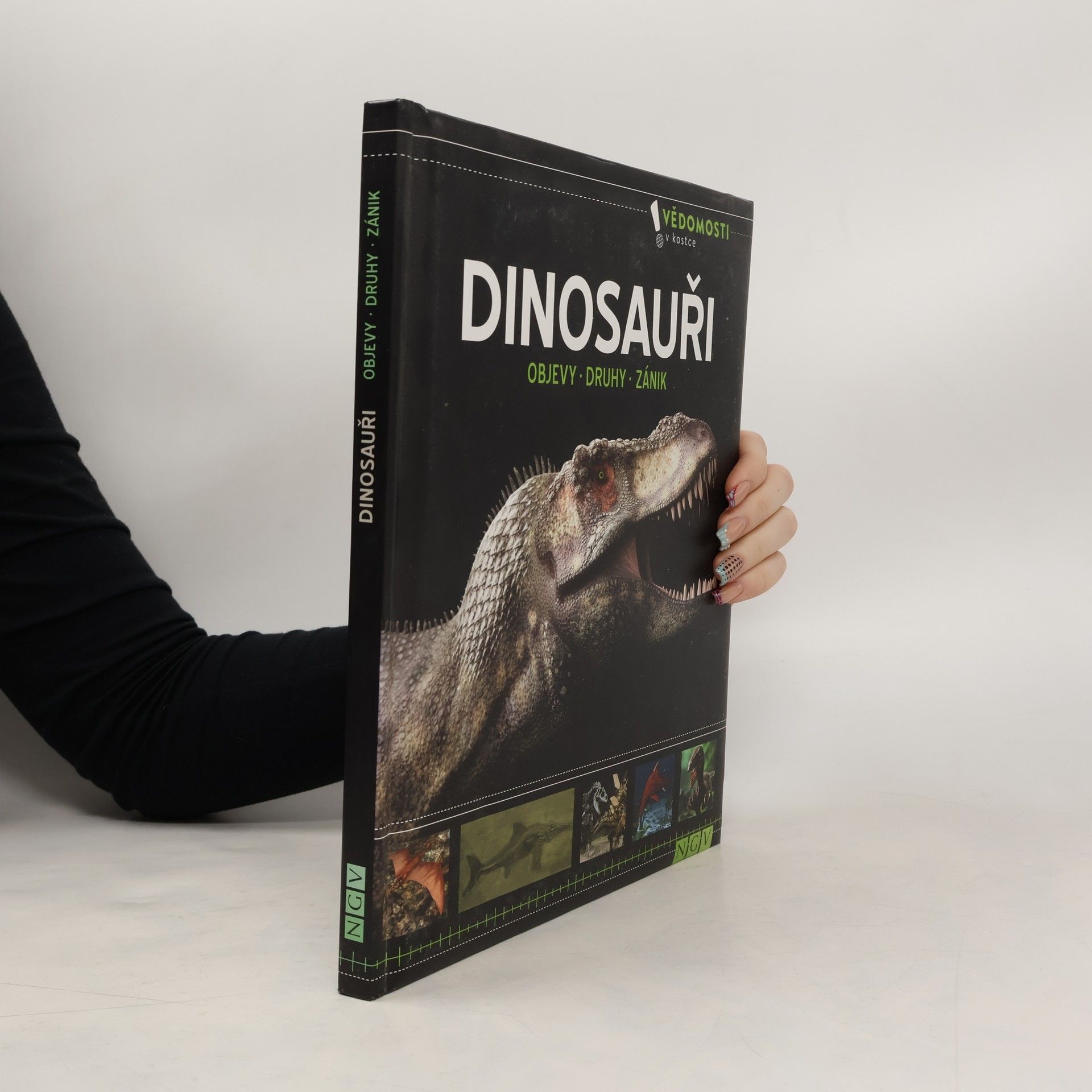 Kolektiv autorů Dinosauři