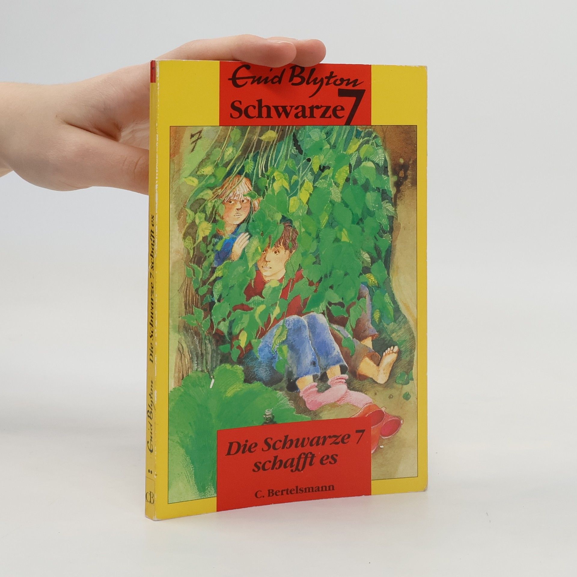 Enid Blyton Die Schwarze Sieben schafft es