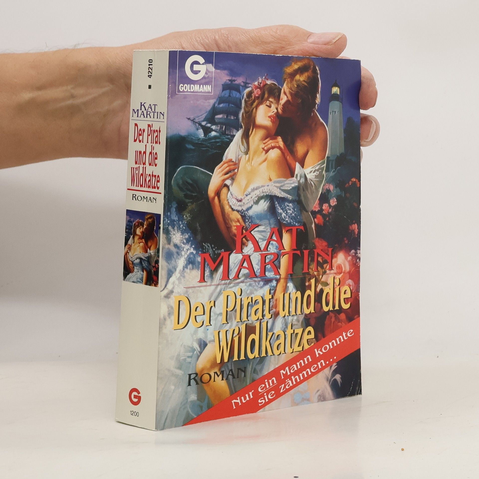 Kat Martin Der Pirat und die Wildkatze