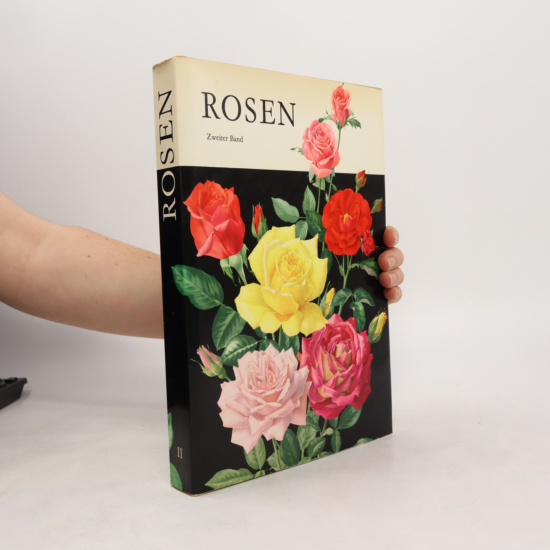 Collectif d'auteurs Rosen II
