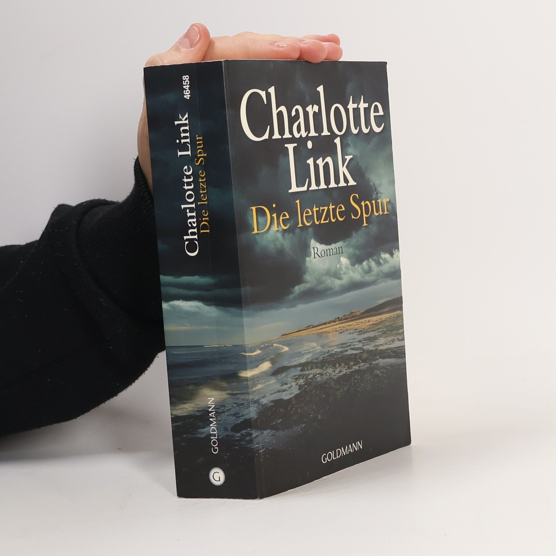 Charlotte Link Die letzte Spur