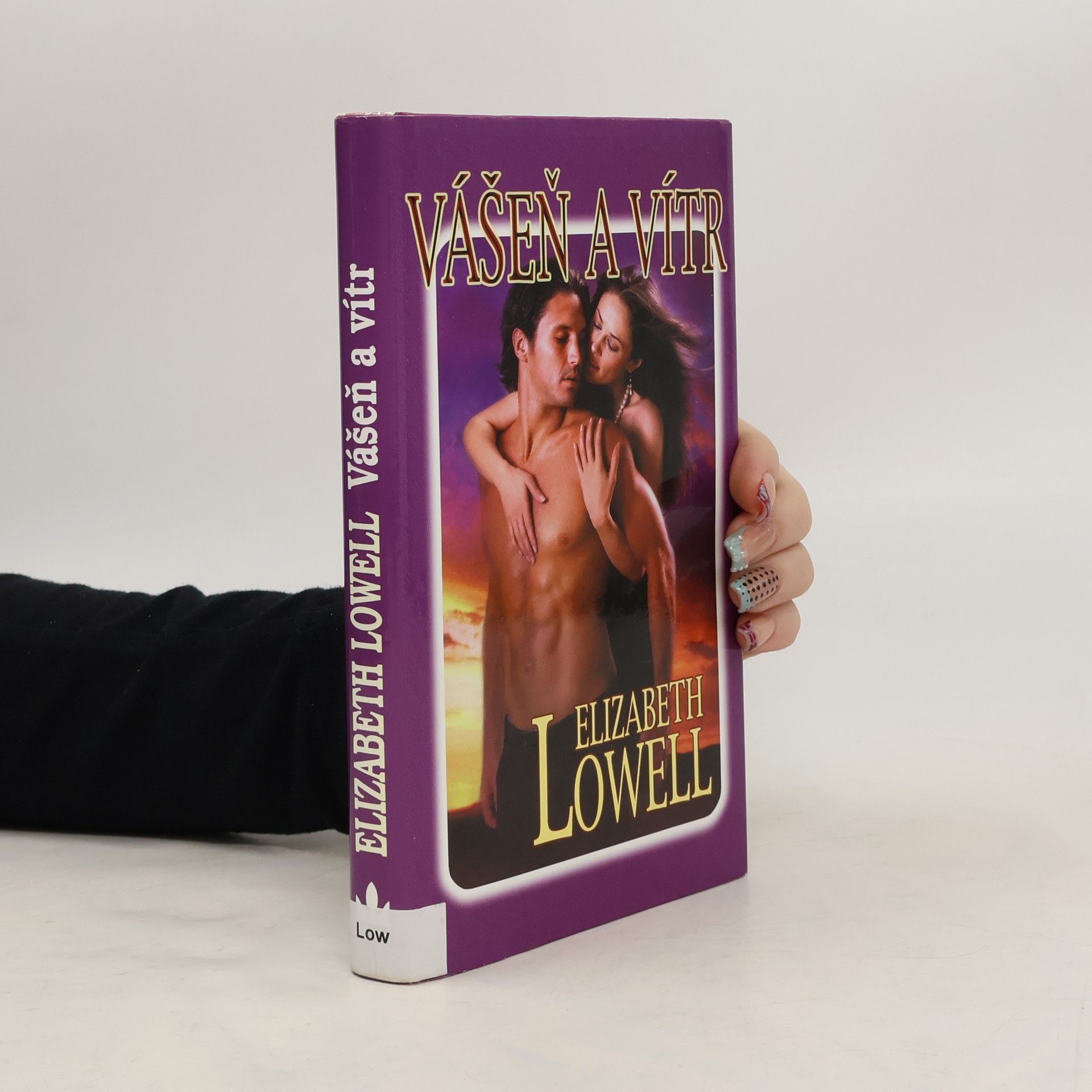Elizabeth Lowell Vášeň a vítr