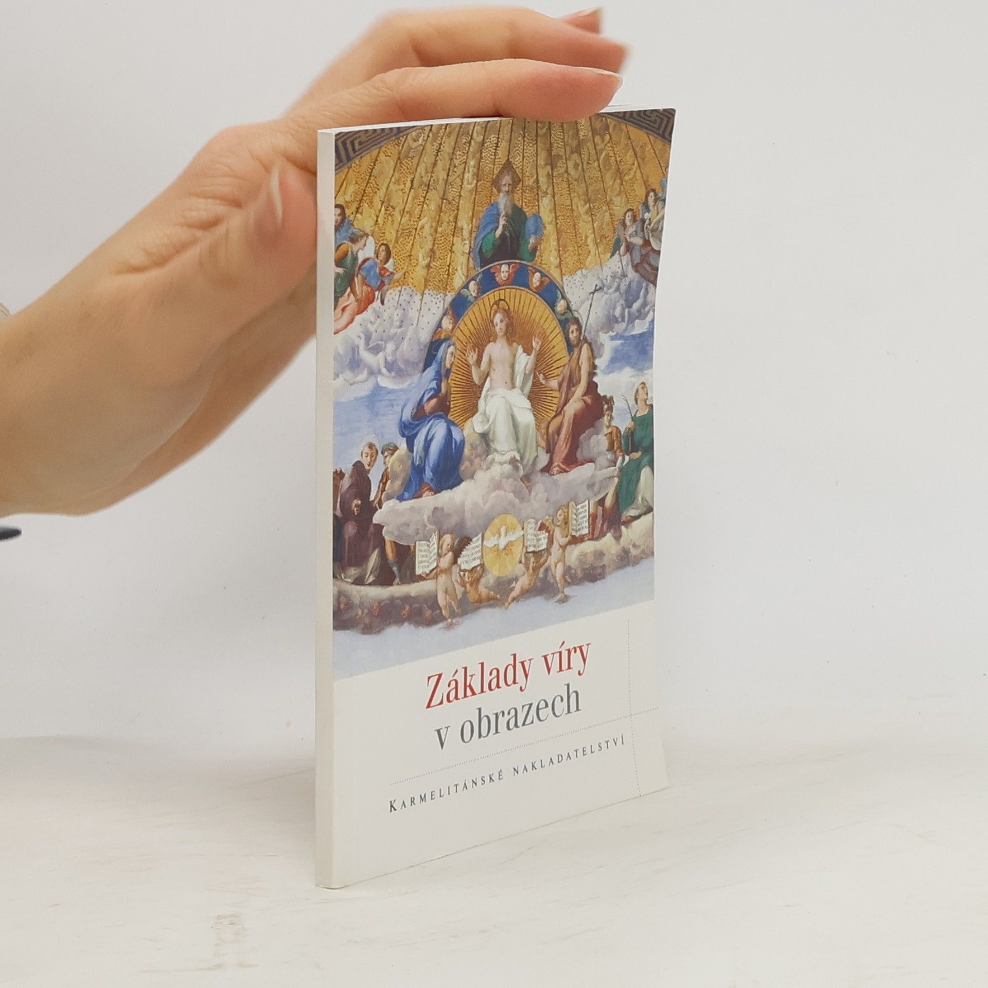 Pietro Principe Základy víry v obrazech