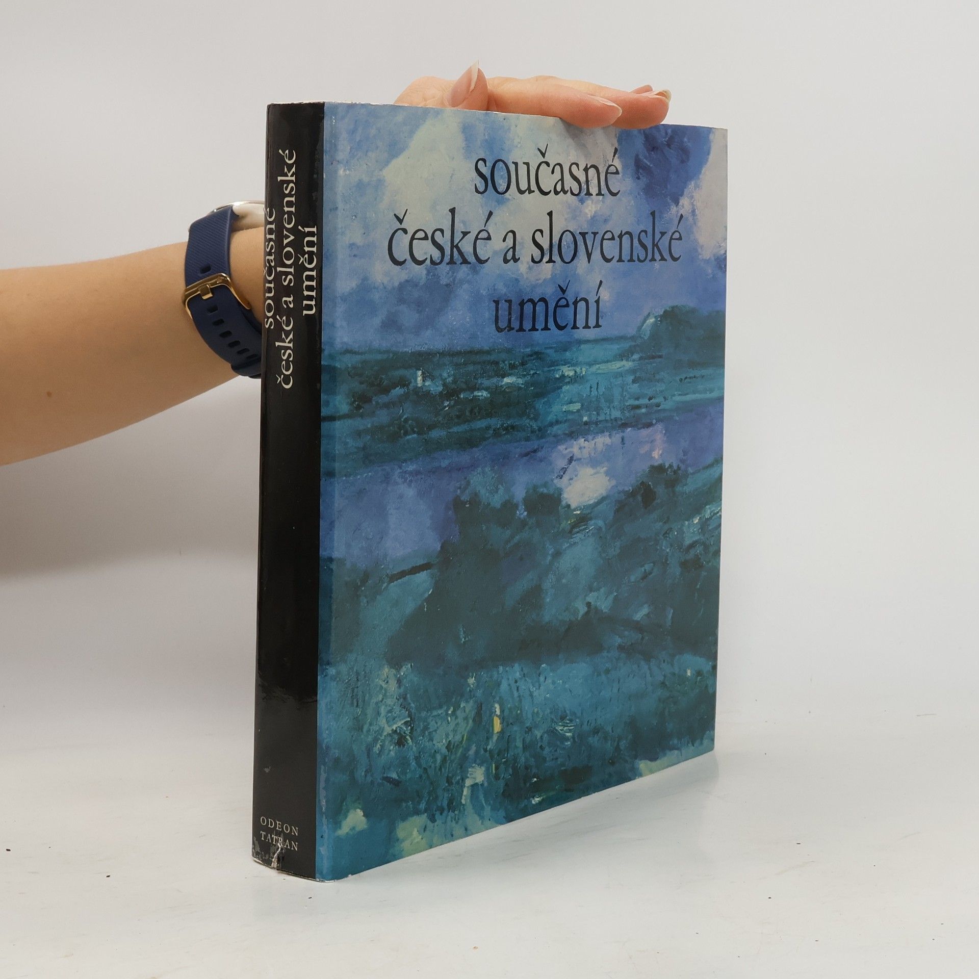 Autorenkollektiv Současné české a slovenské umění