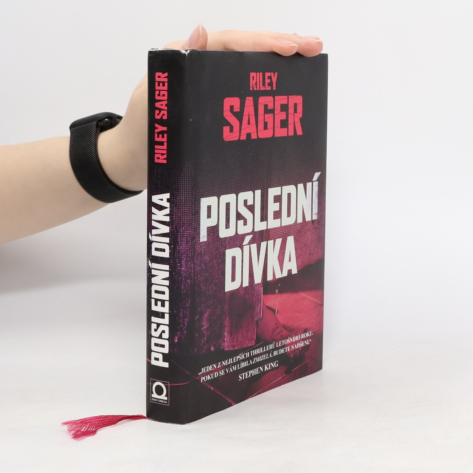 Todd Ritter Poslední dívka