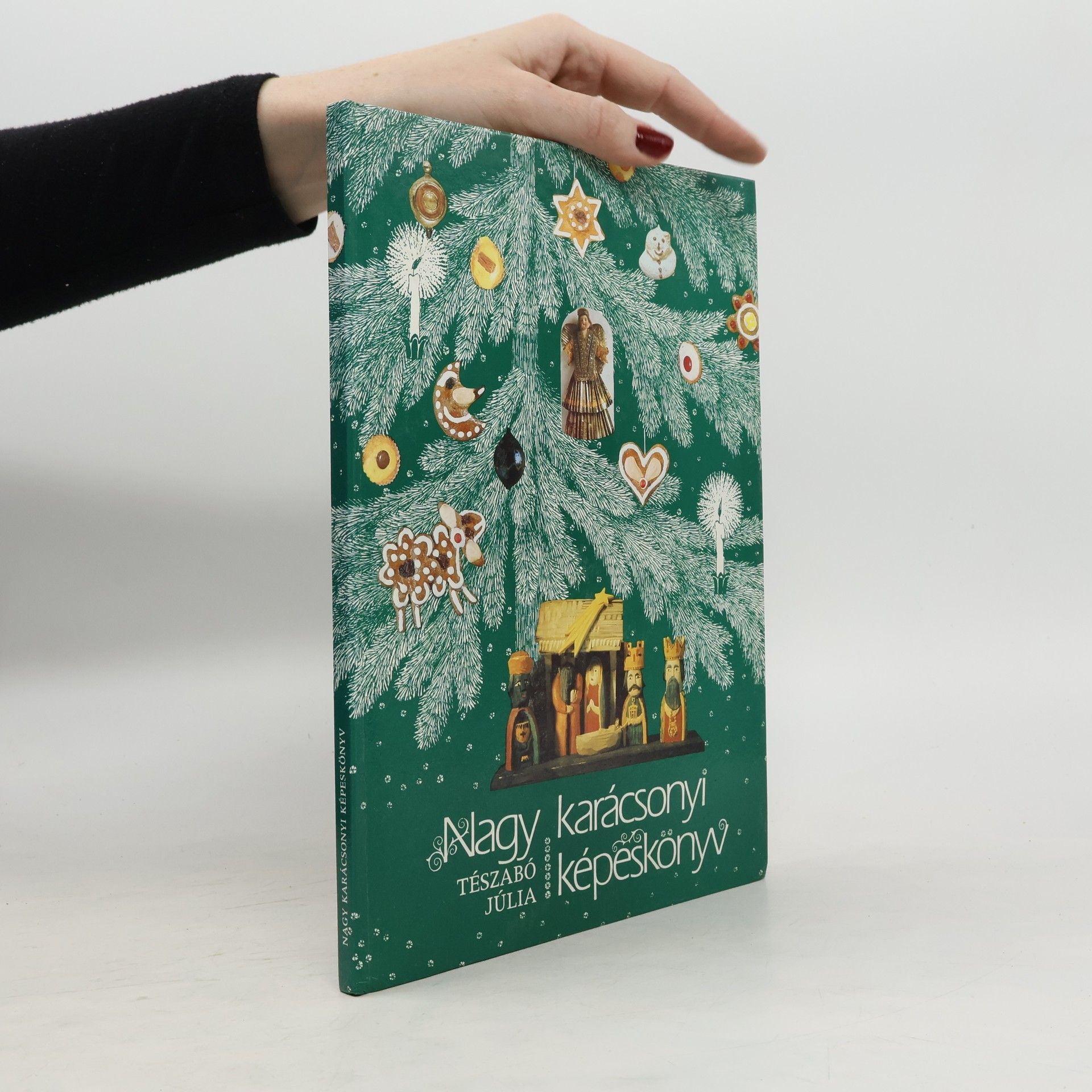 Tészabo Julia Nagy karácsonyi képeskönyv