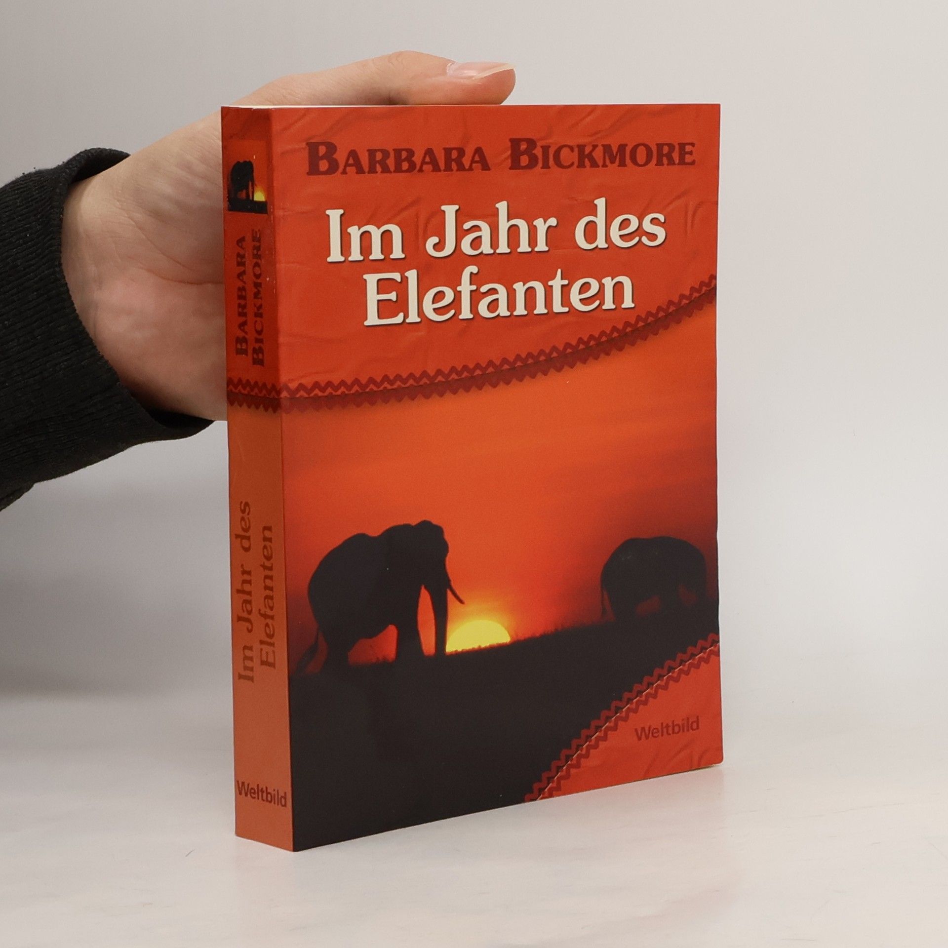 Barbara Bickmore Im Jahr des Elefanten