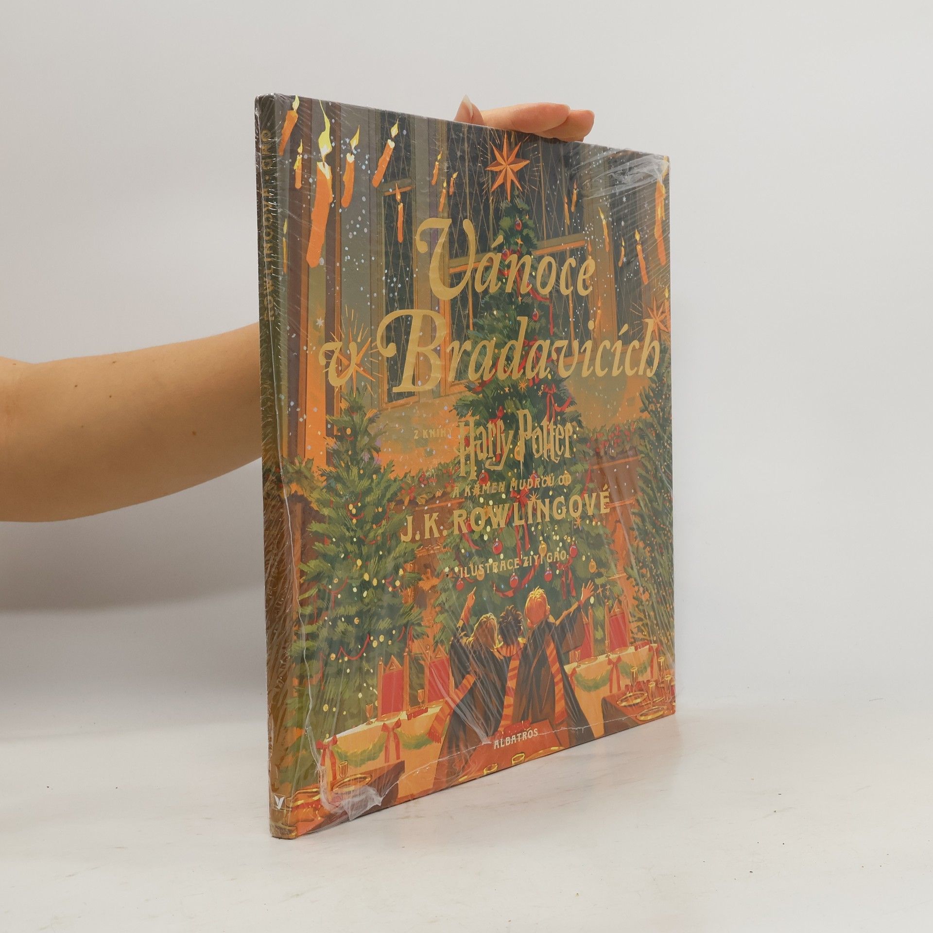 Vánoce v Bradavicích