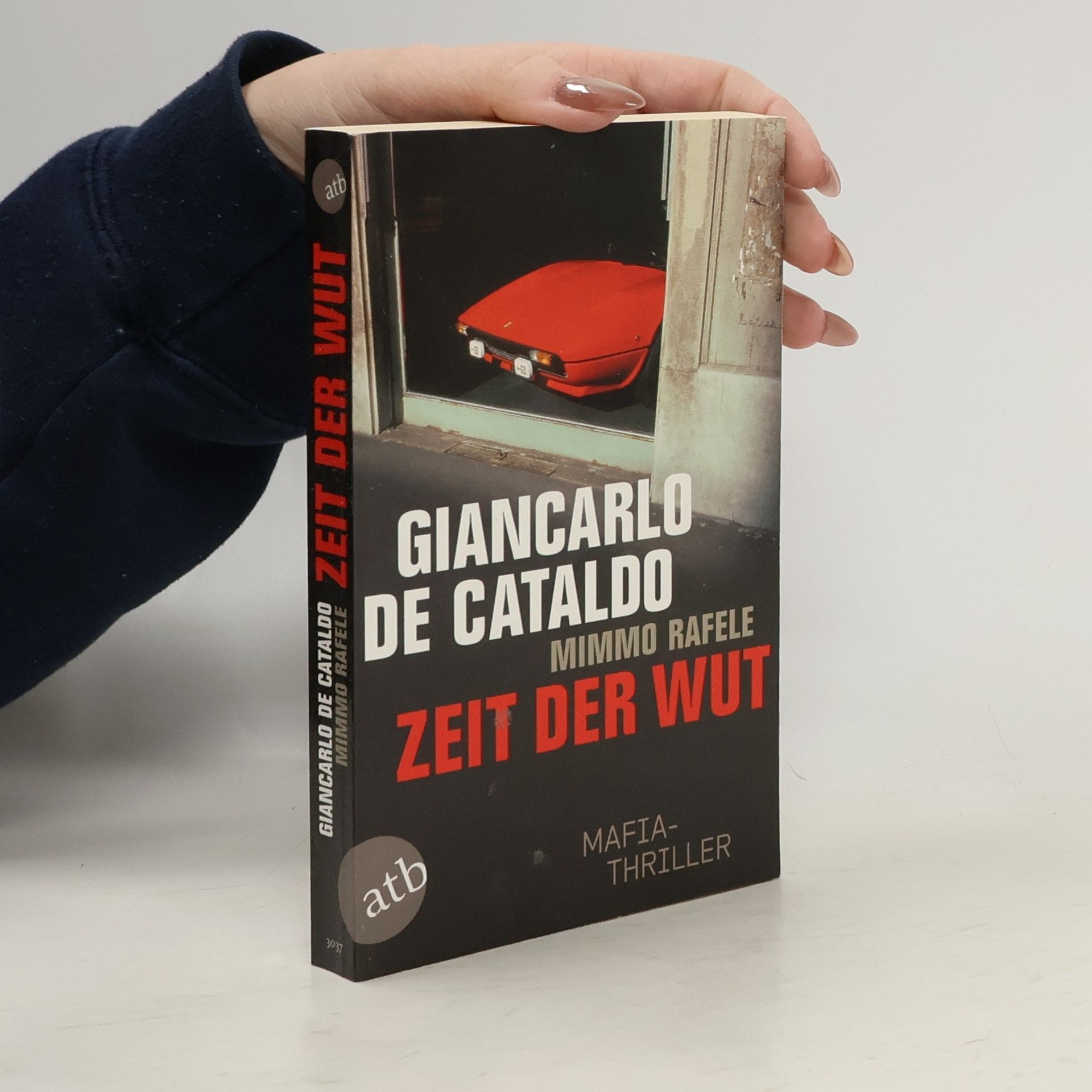Giancarlo De Cataldo Zeit der Wut