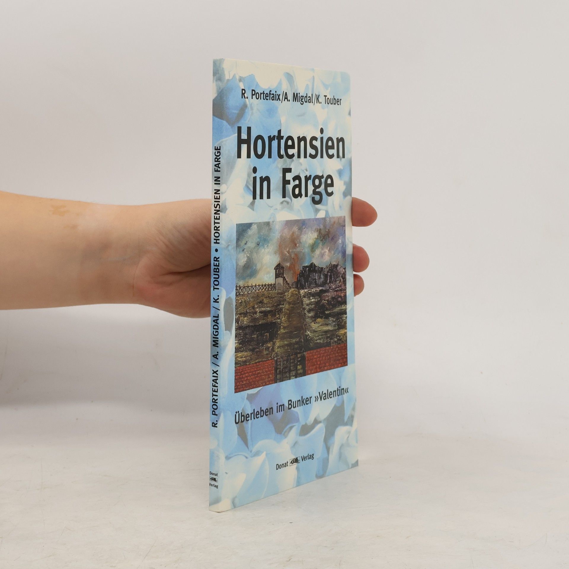 Raymond Portefaix Hortensien in Farge