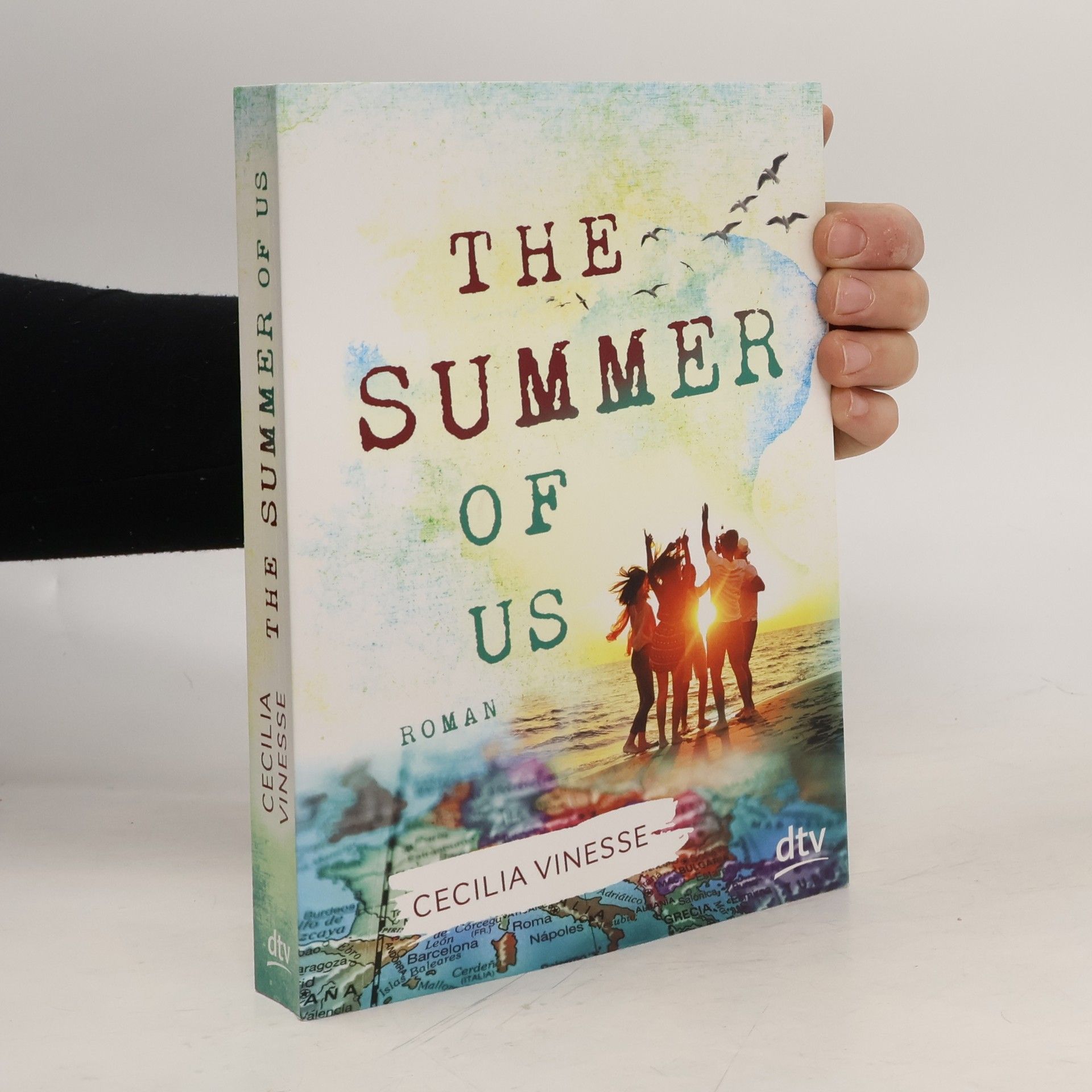 Cecilia Vinesse The Summer of Us. Roman