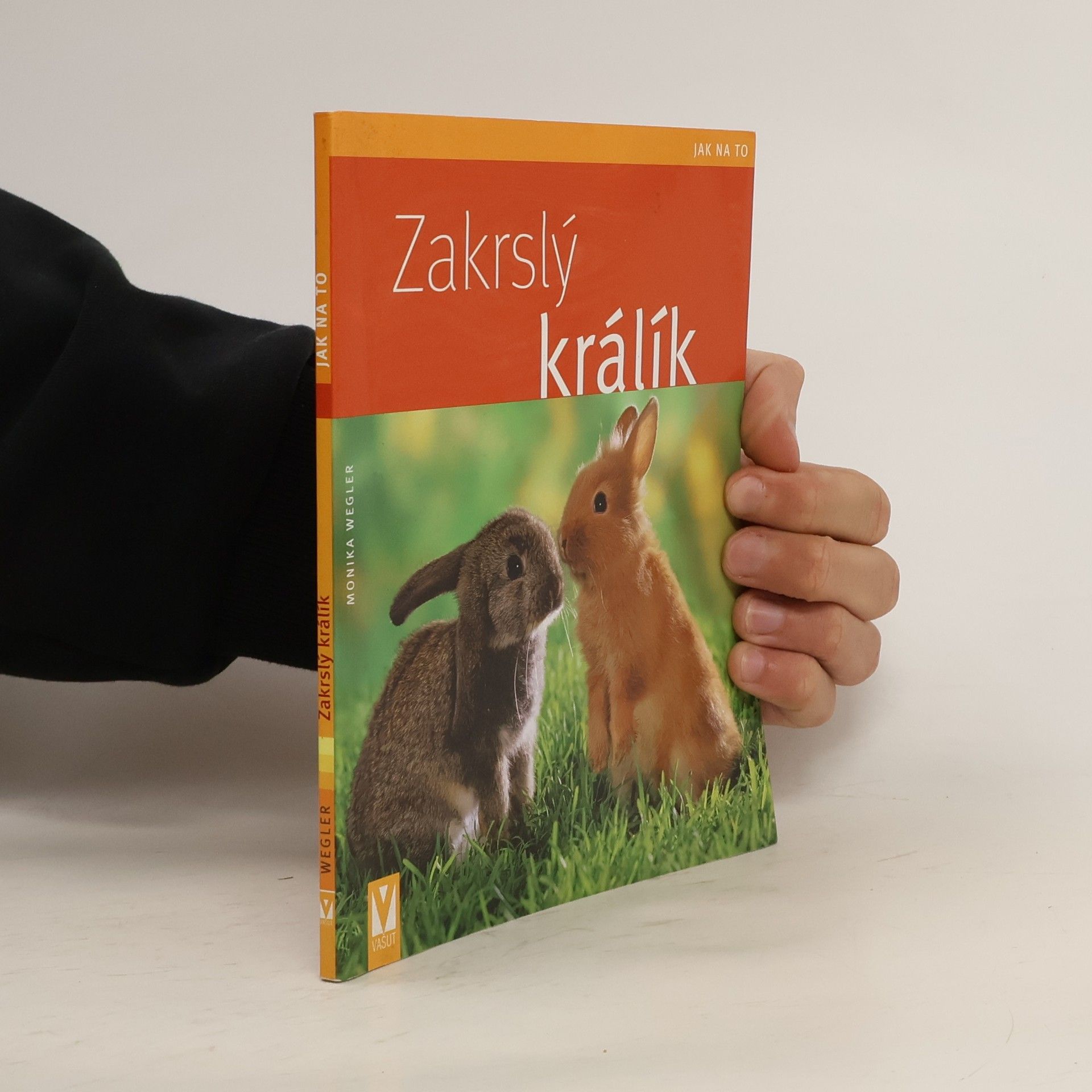 Monika Wegler Zakrslý králík