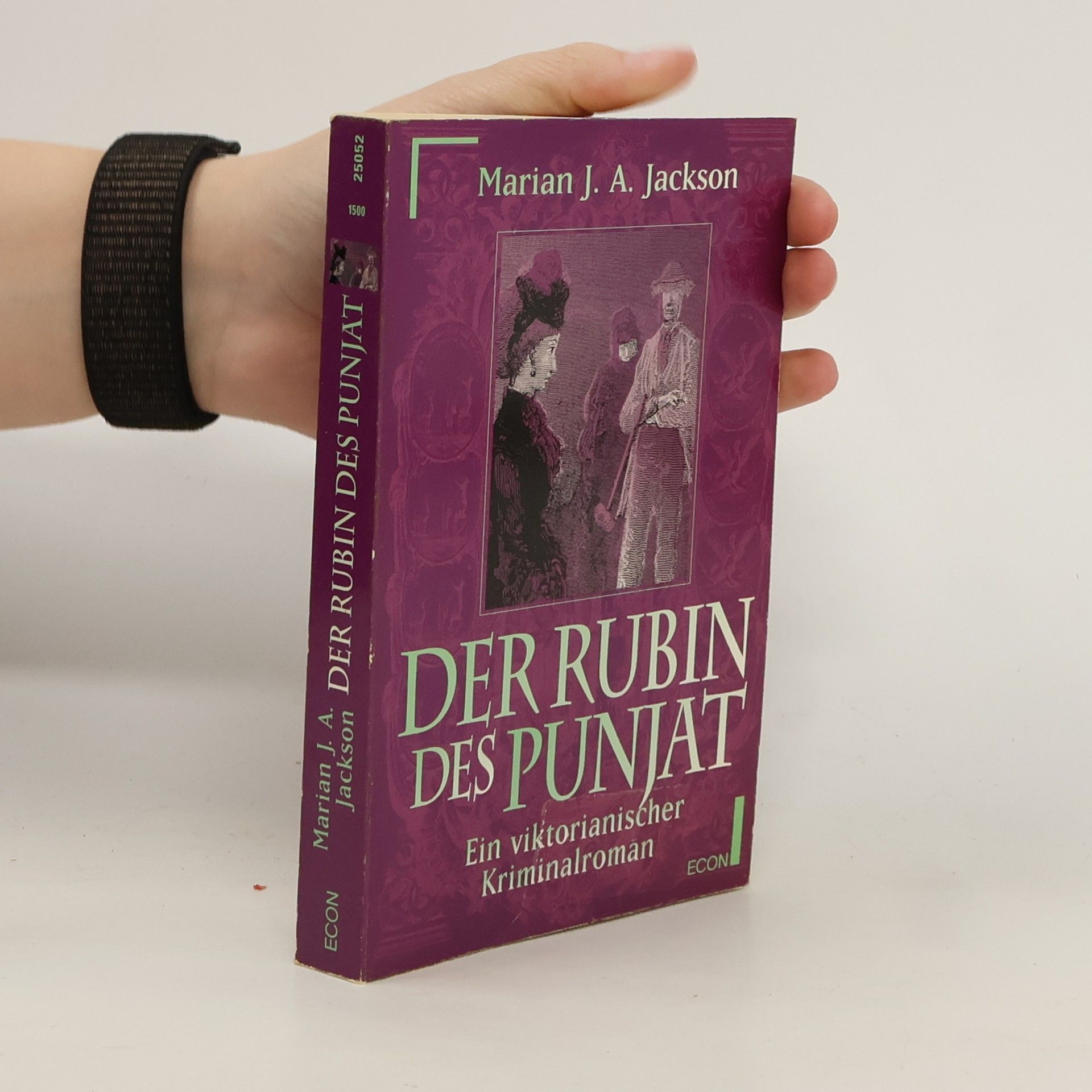 Der Rubin des Punjat
