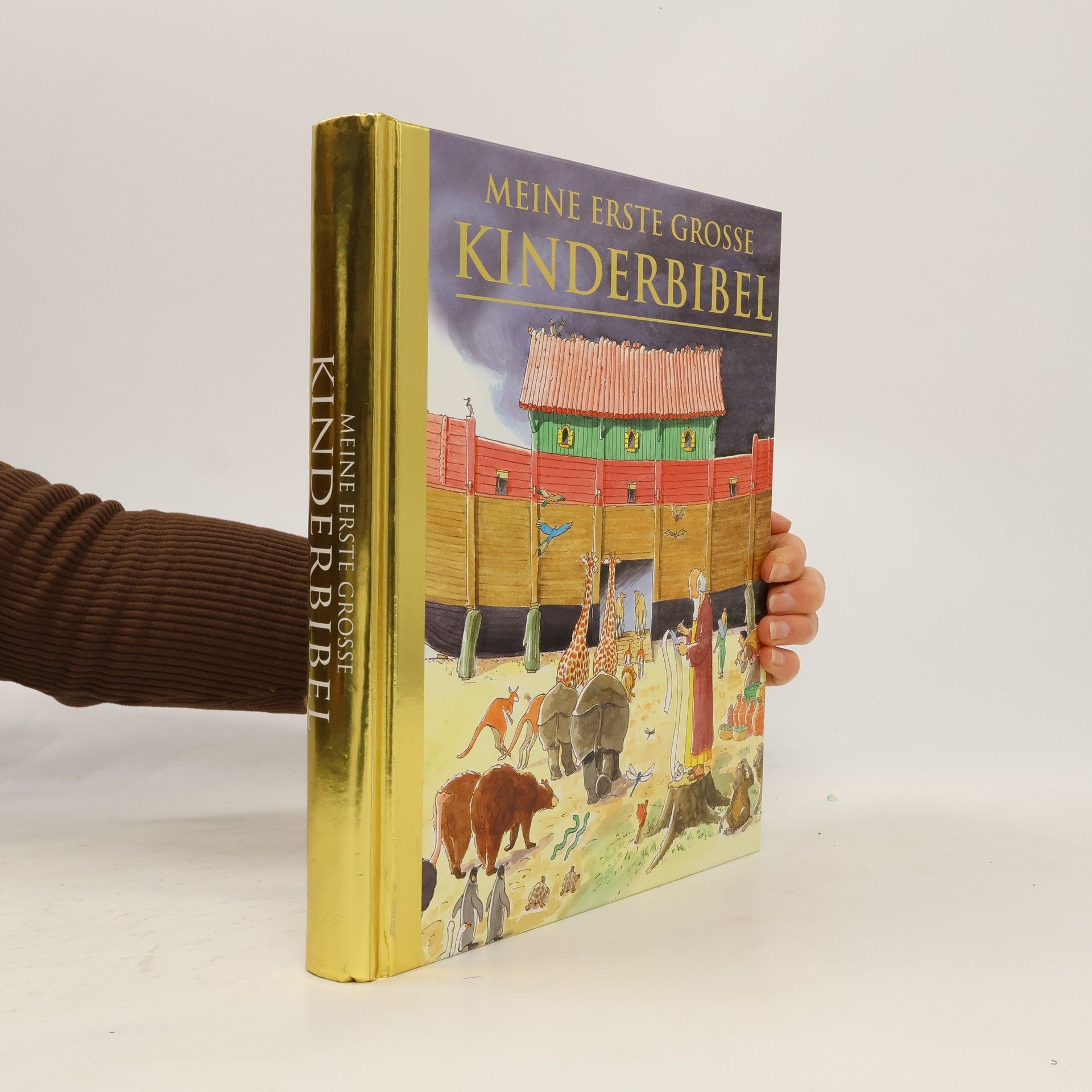 Autorenkollektiv Meine erste grosse Kinderbibel