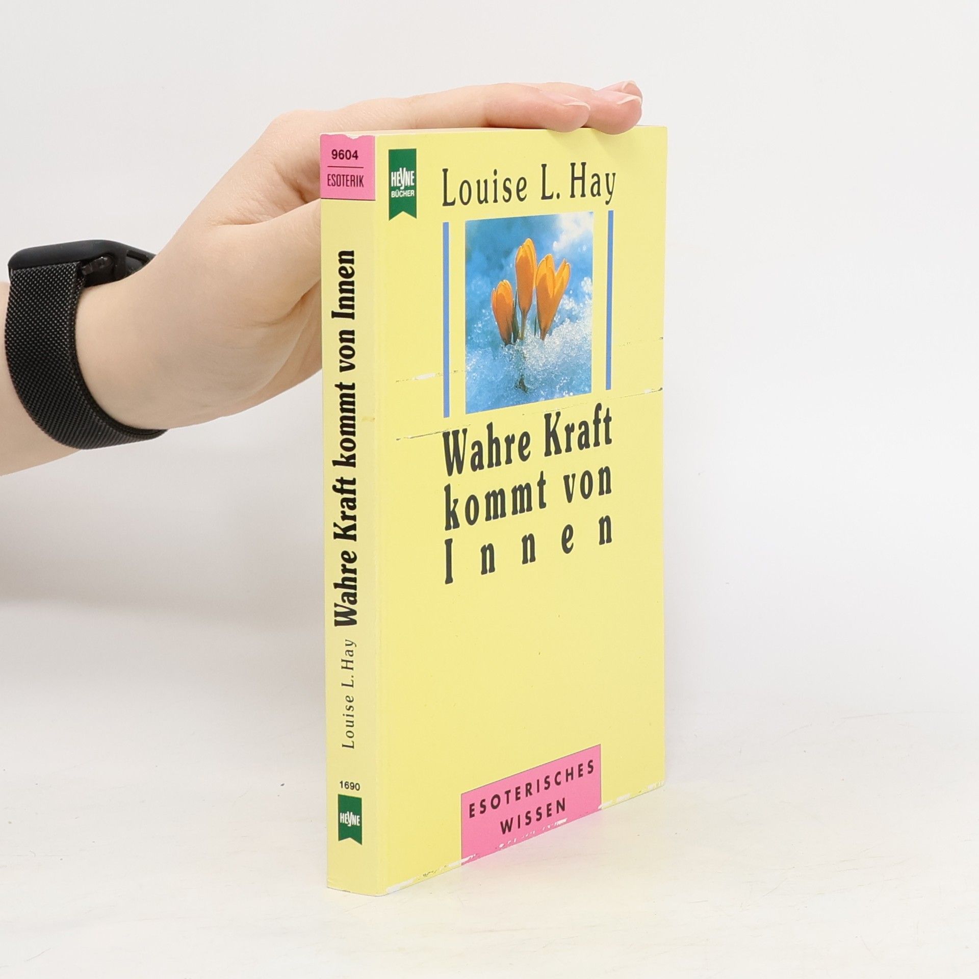 Louise Lynn Hay Wahre Kraft kommt von Innen