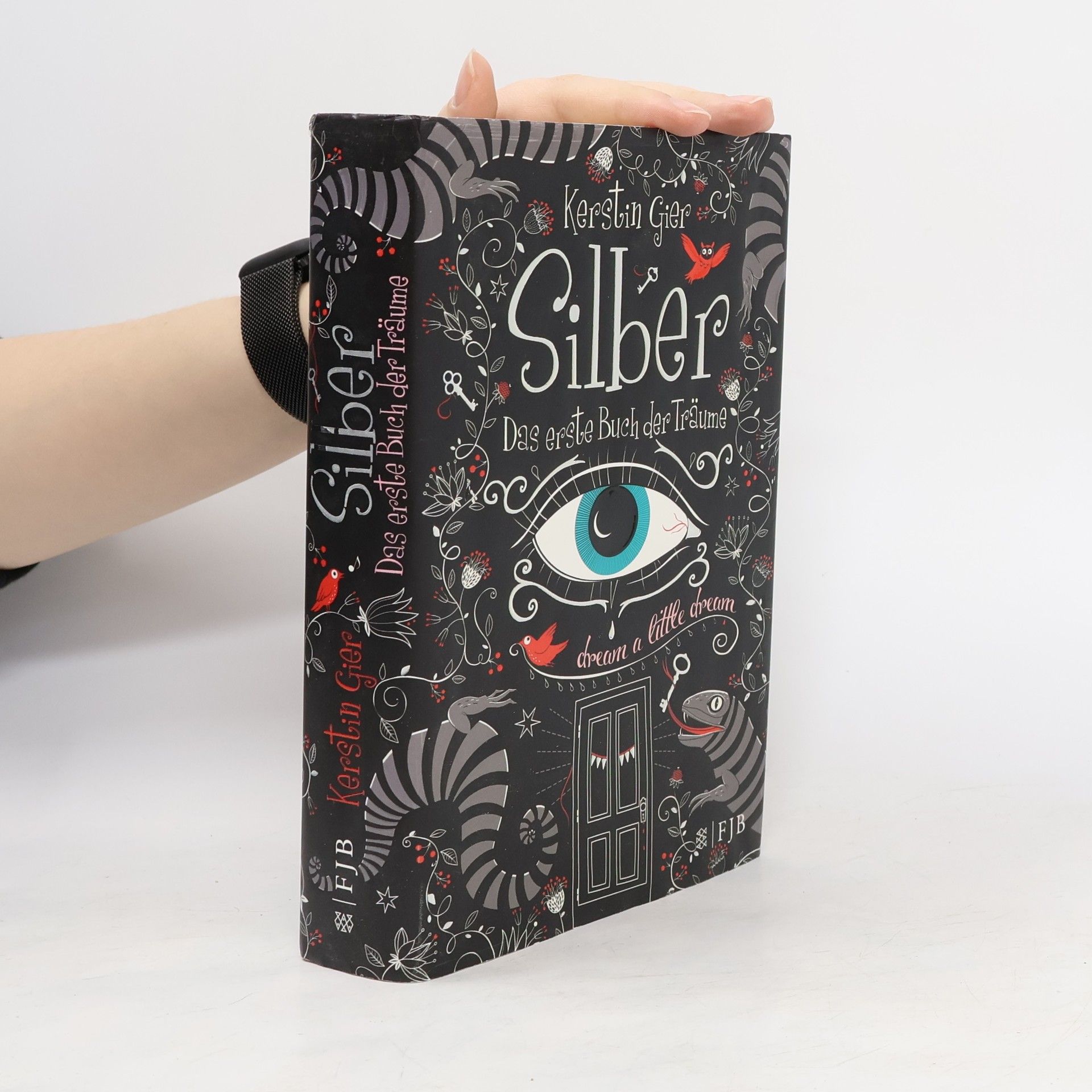 Silber. Das erste Buch der Träume