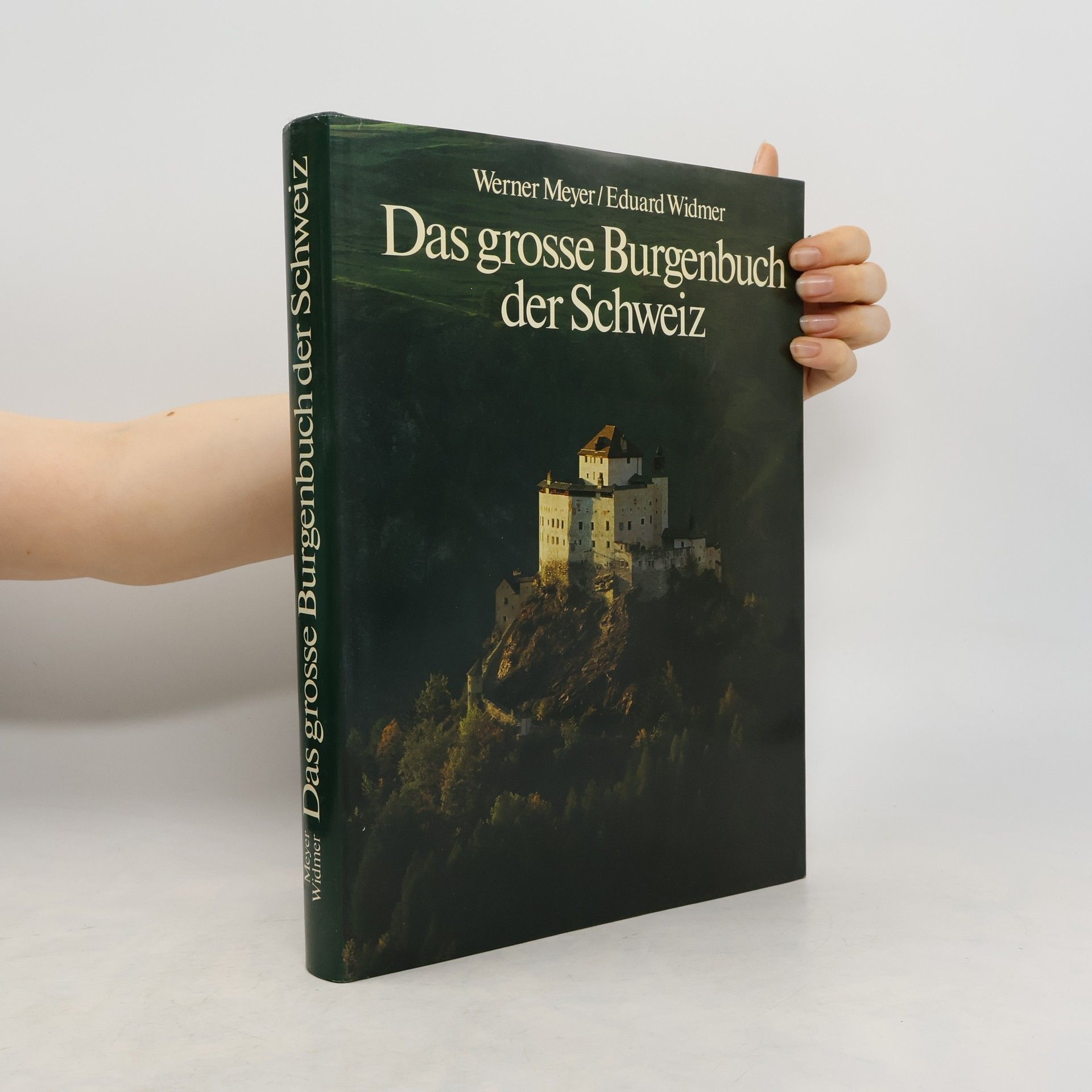 Werner Meyer-Larsen Das grosse Burgenbuch der Schweiz