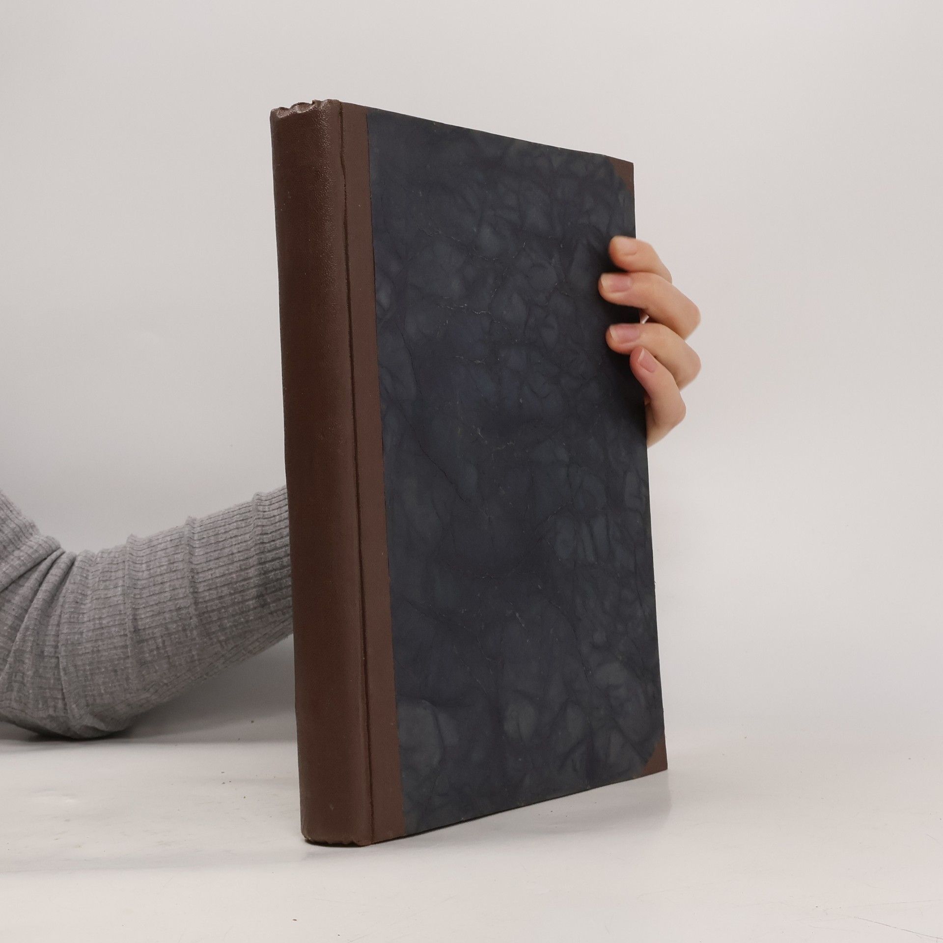 Autorenkollektiv Klassiker der Kunst 3. Tizian