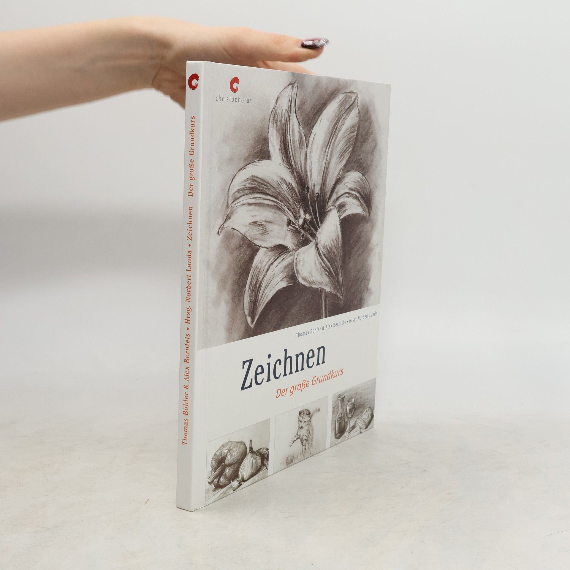 Thomas Böhler Zeichnen - der große Grundkurs