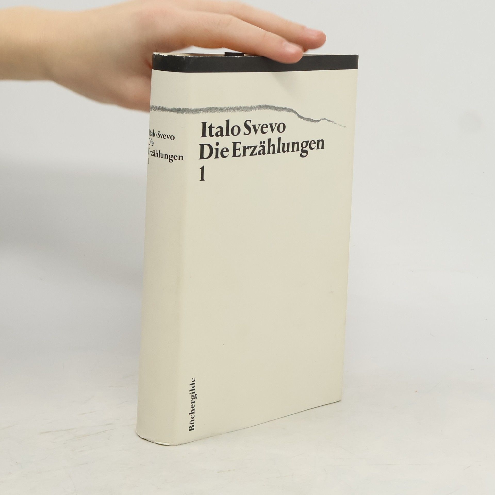 Italo Svevo Die Erzählungen 1