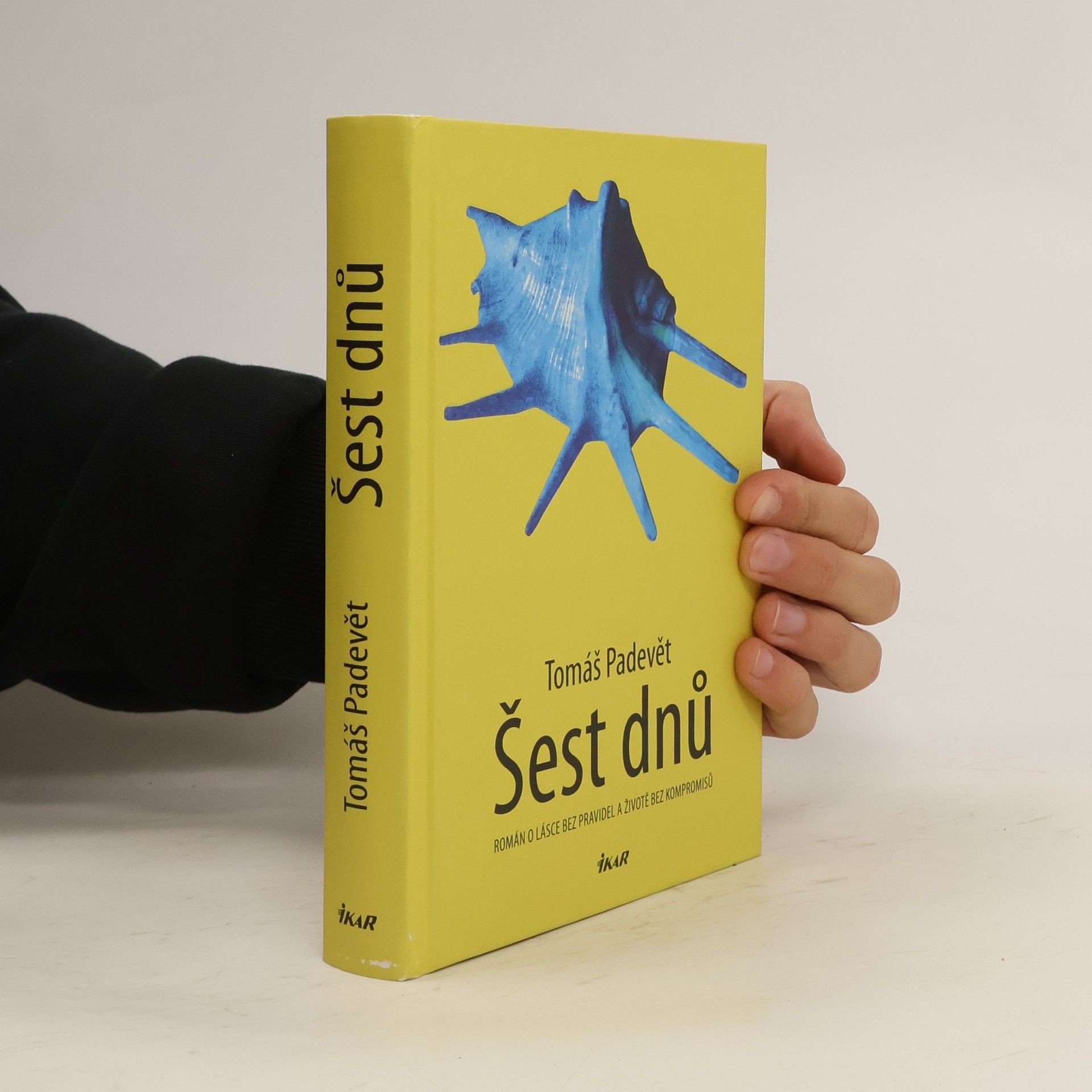 Tomáš Padevět Šest dnů : román o lásce bez pravidel a životě bez kompromisů