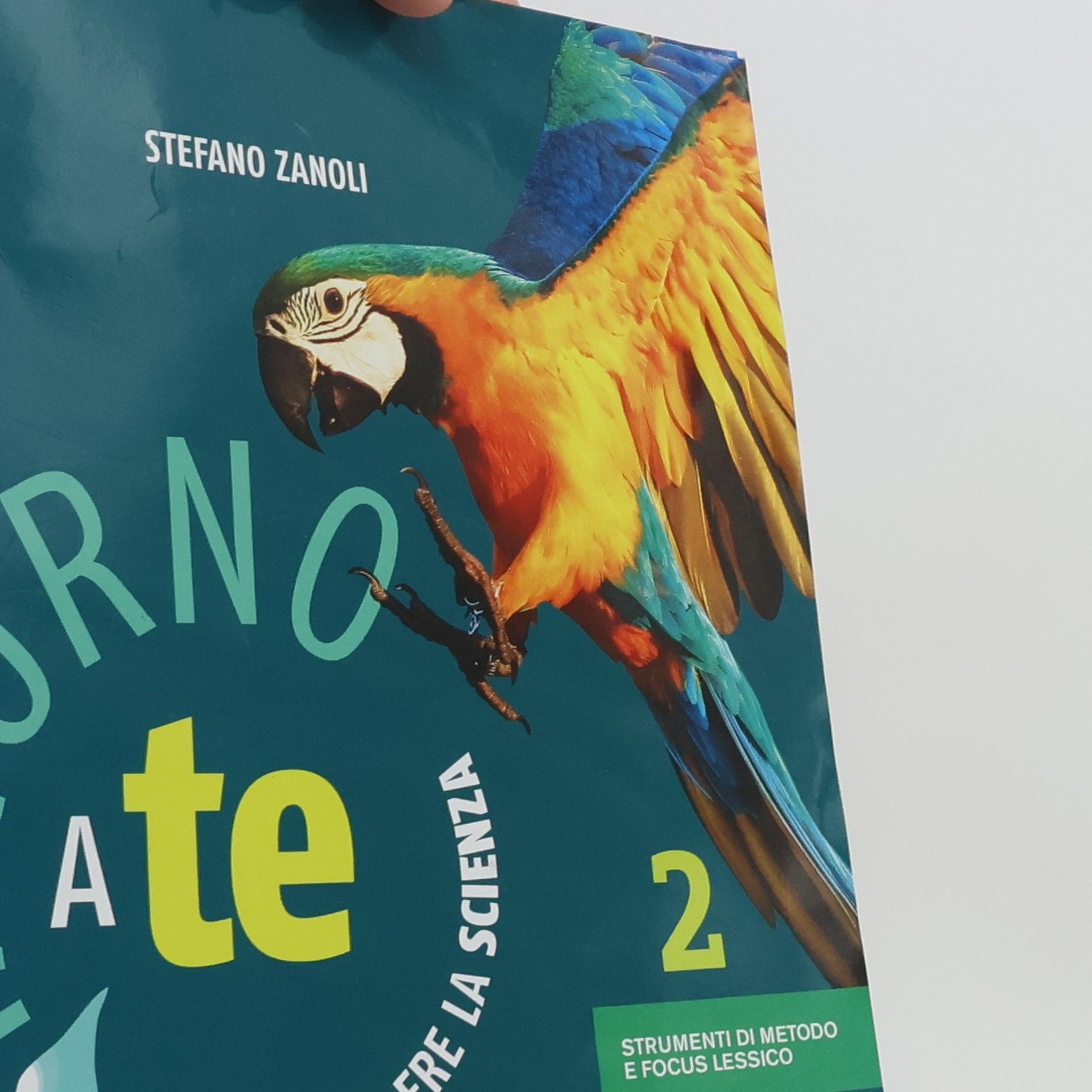 Autorenkollektiv Intorno a te 2