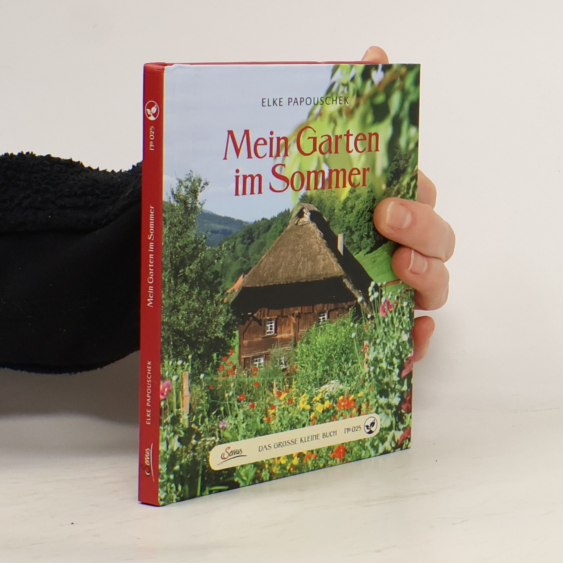 Mein Garten im Sommer