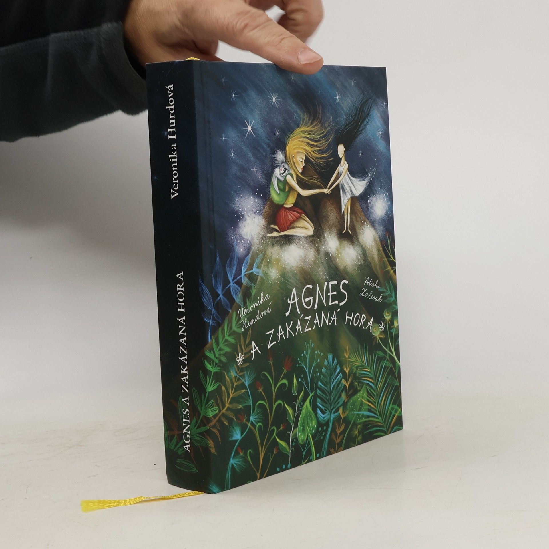 Veronika Hurdová Agnes a Zakázaná hora