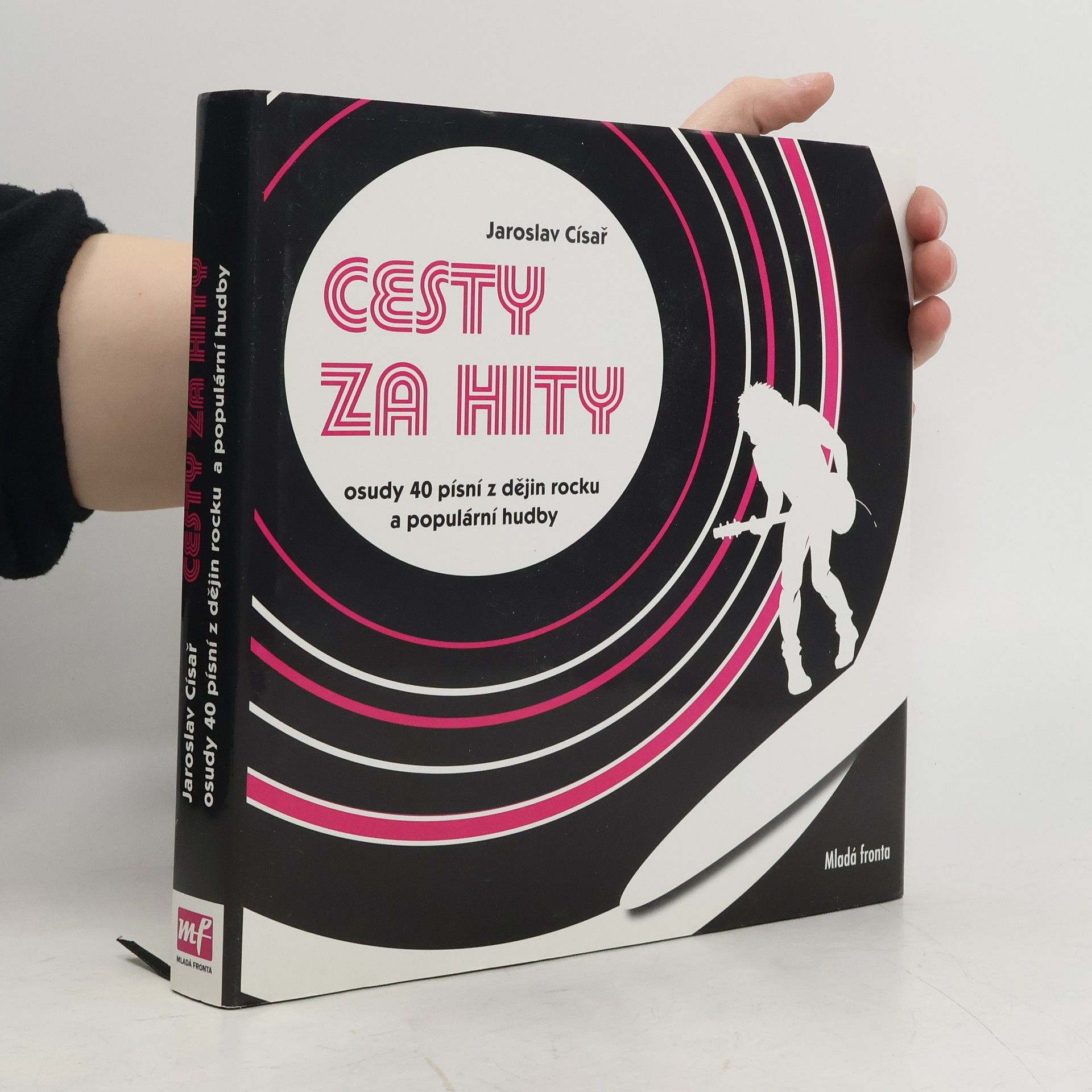 Cesty za hity : osudy 40 písní z dějin rocku a populární hudby včetně 5 bonusů z Česka