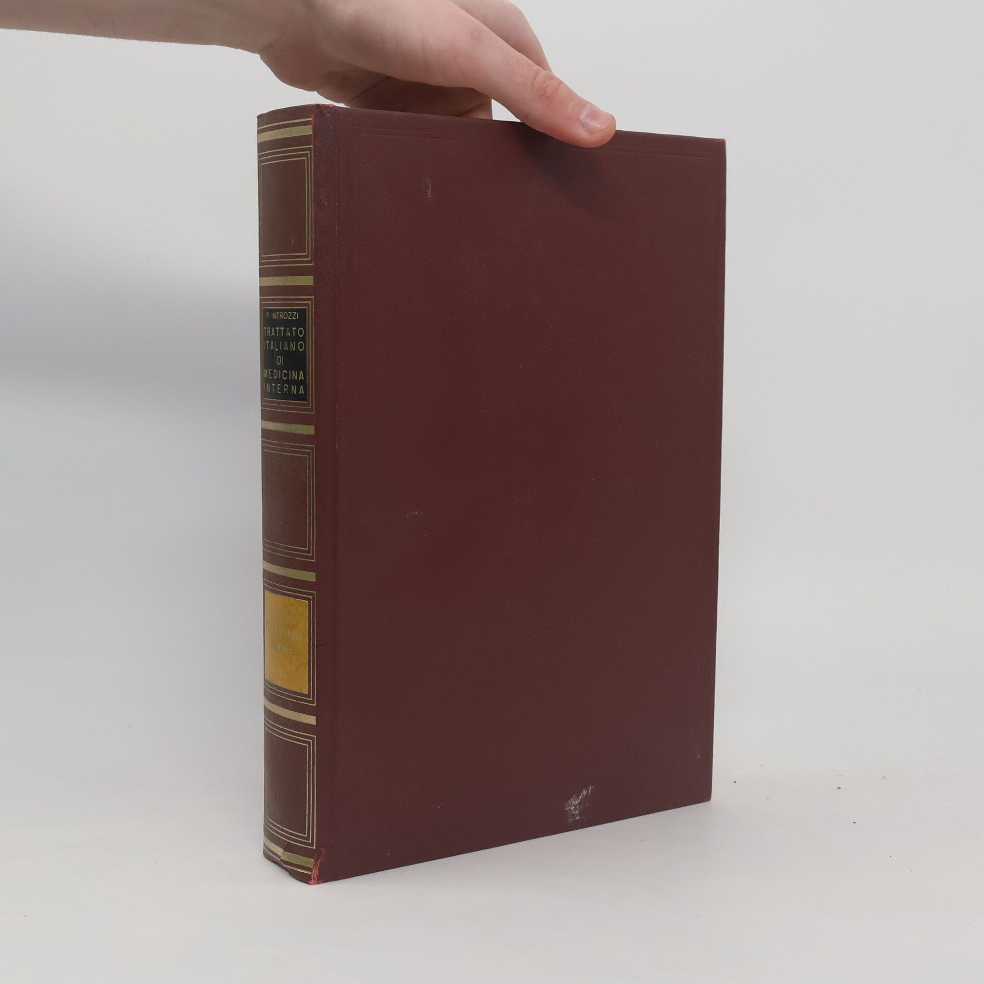 Paolo Introzzi Trattato Italiano di Medicina Interna