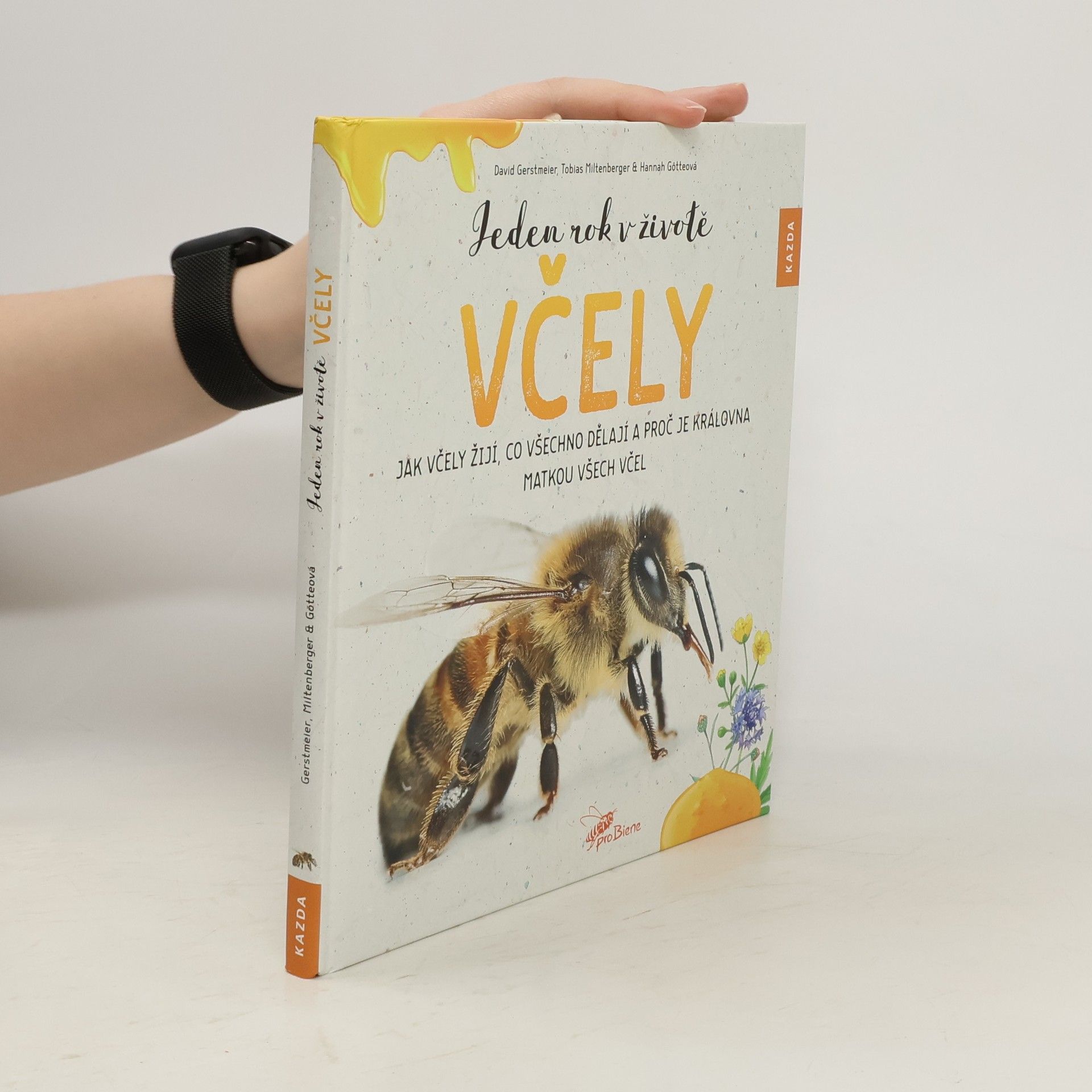 David Gerstmeier Jeden rok v životě včely