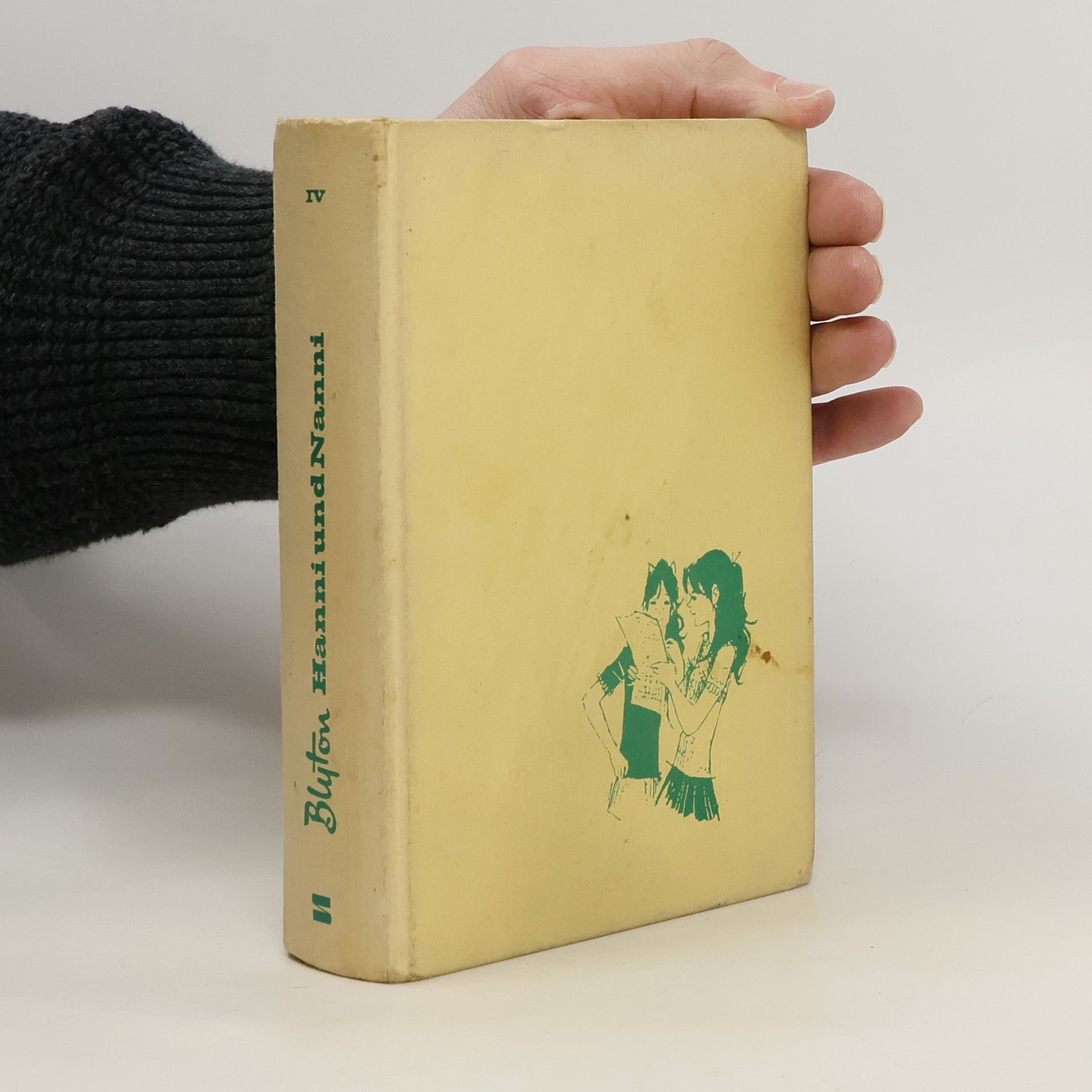 Enid Blyton Hanni und Nanni. Sammelband 4